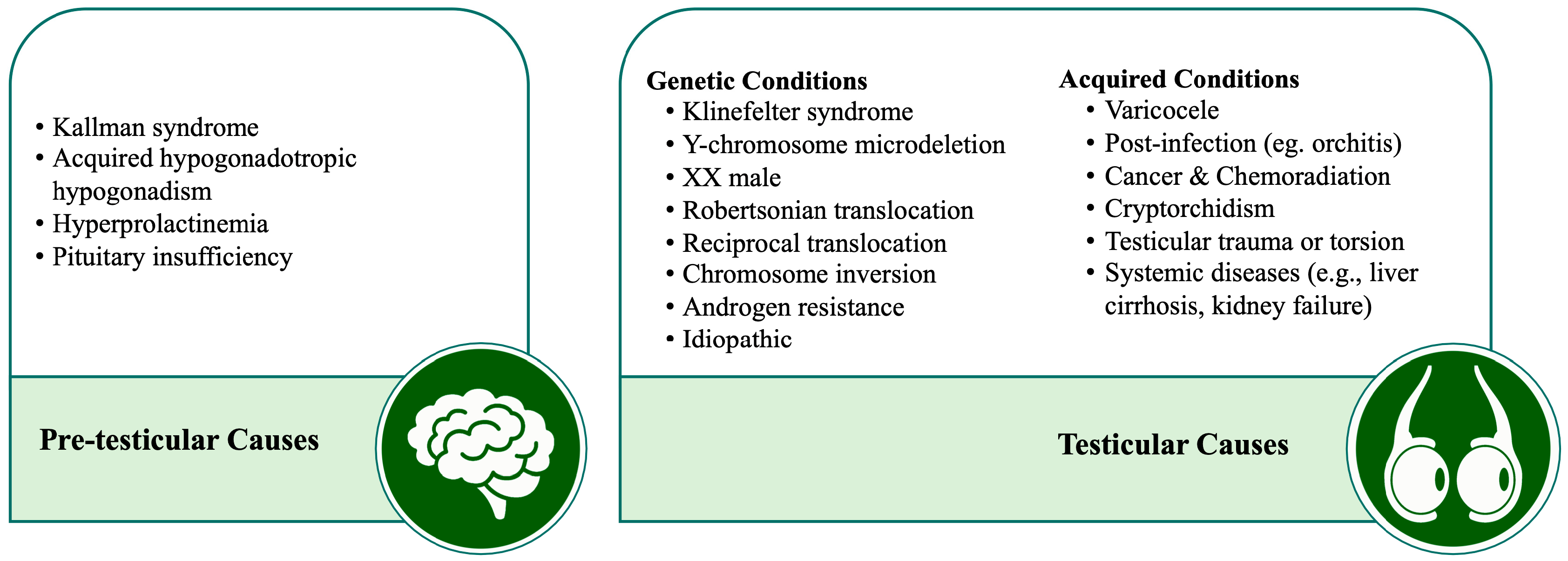 Jcm 13 04939 g001 Jcm 13 04939 g001