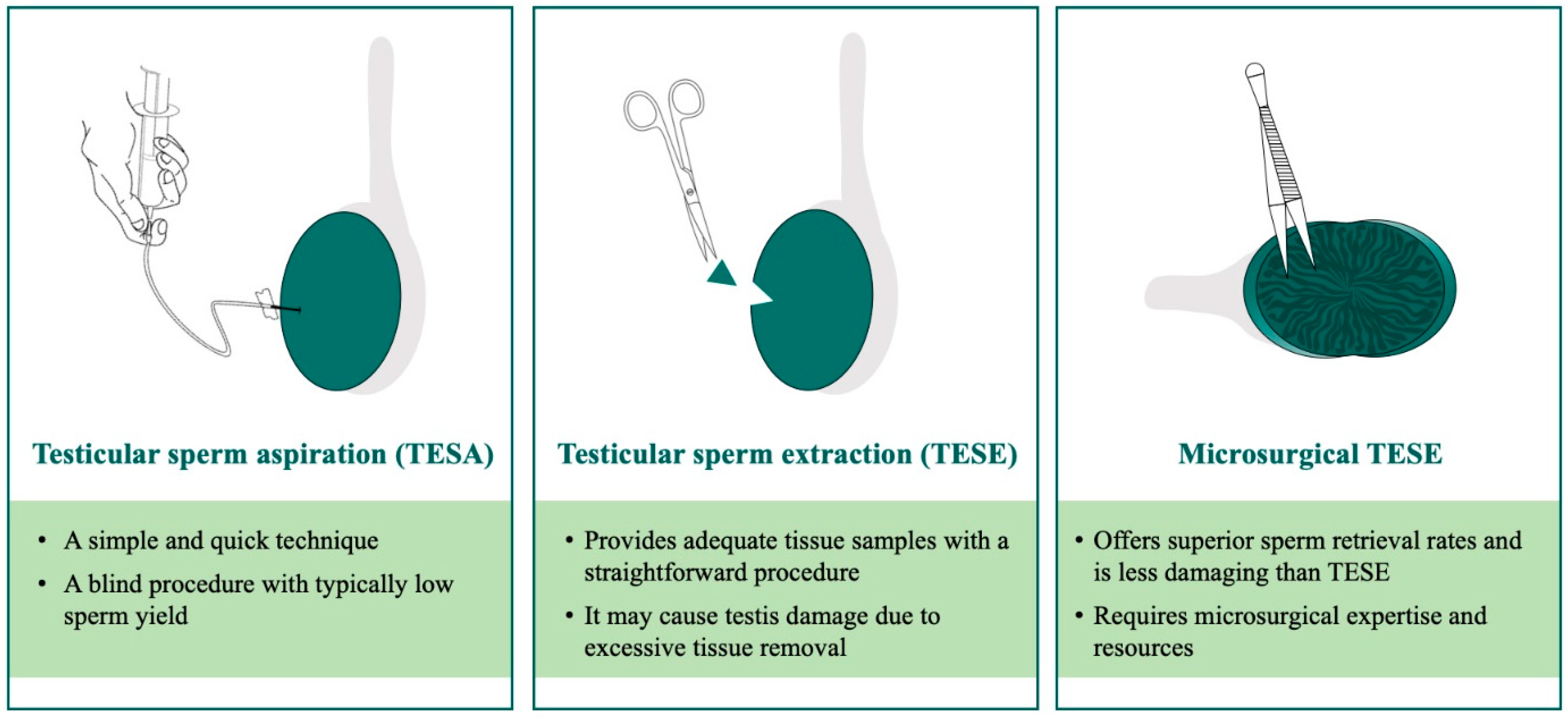 Jcm 13 04939 g003 Jcm 13 04939 g003