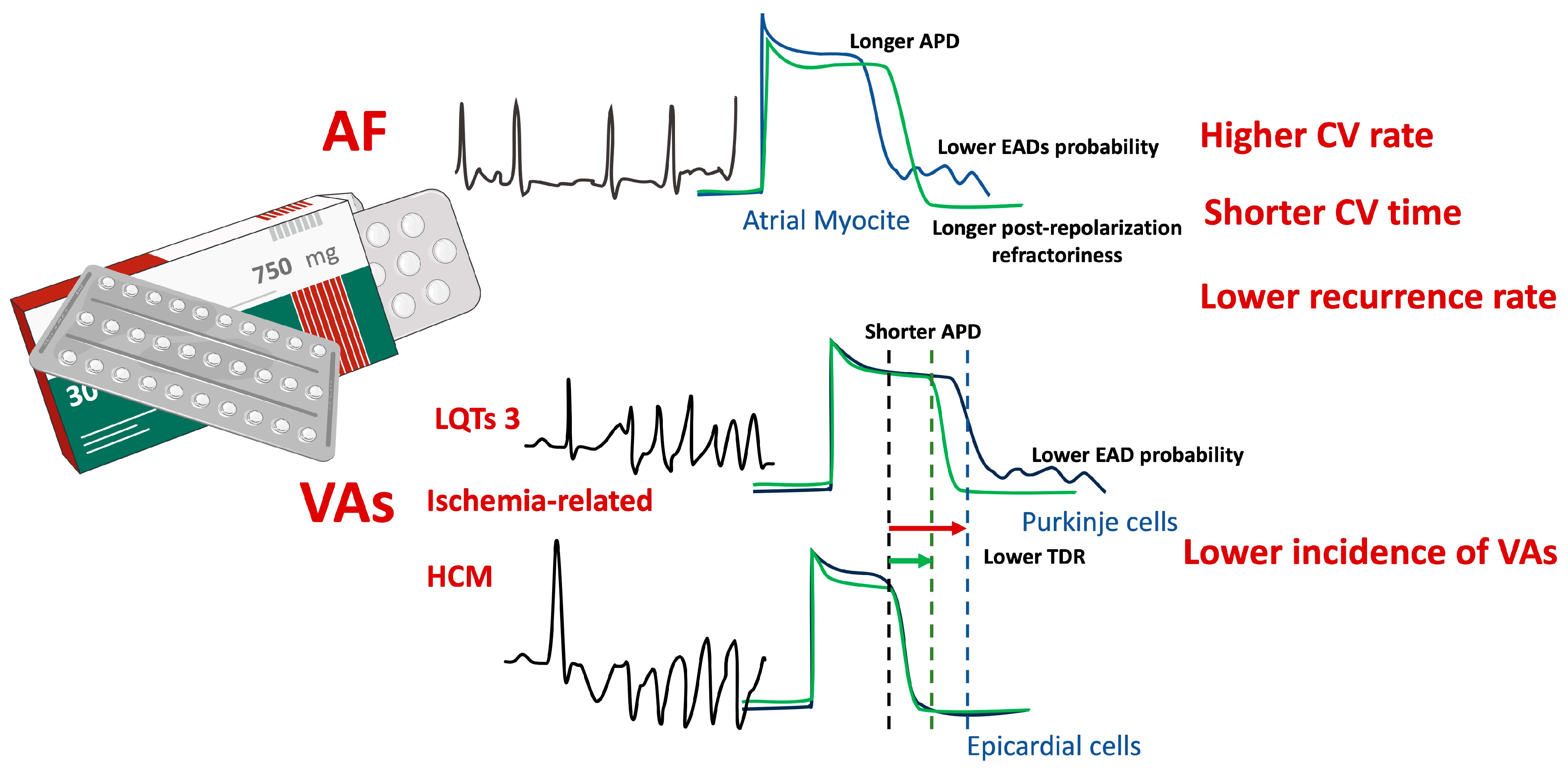 Jcm 13 04985 g002 Jcm 13 04985 g002