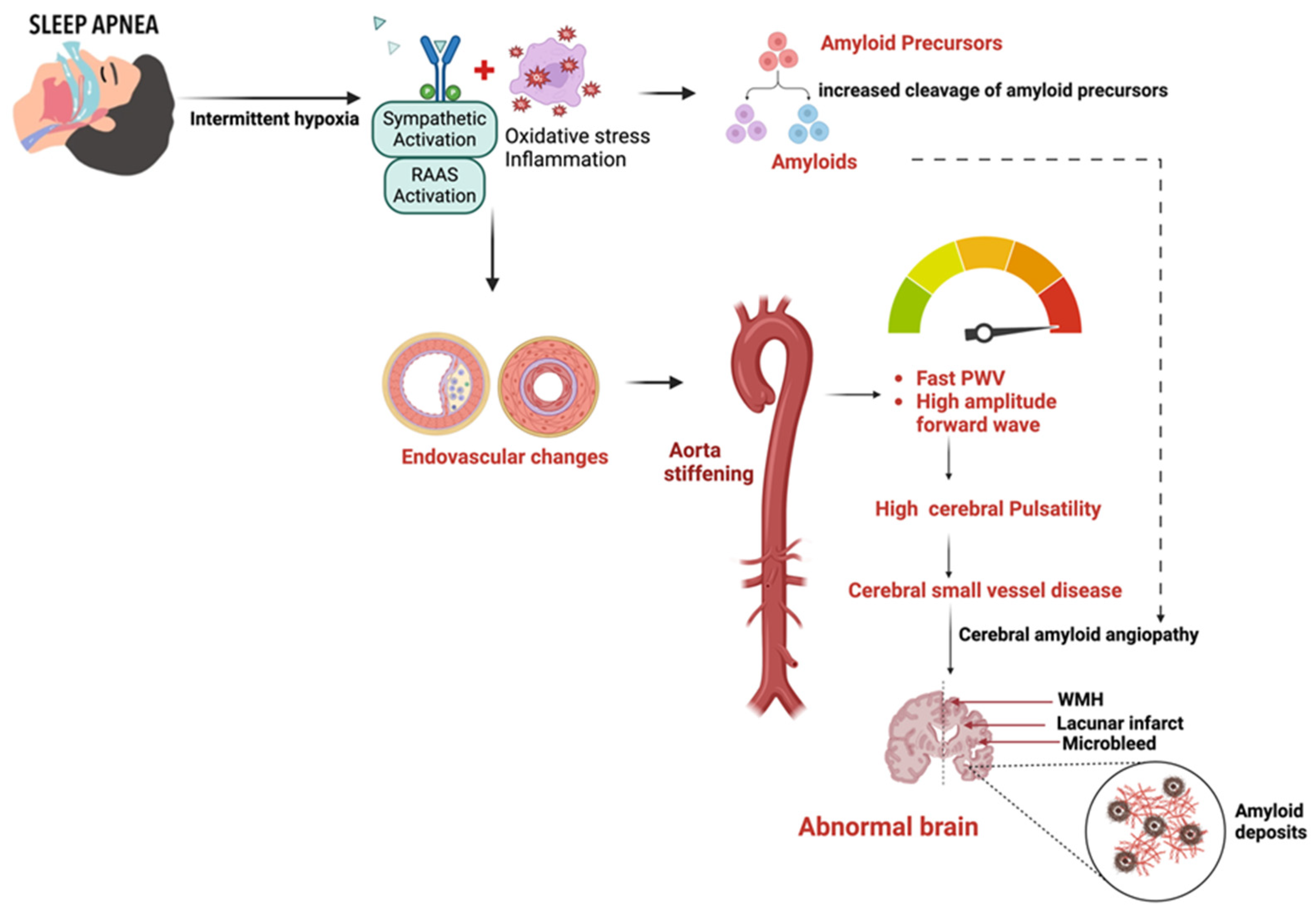 Jcm 13 05001 g002 Jcm 13 05001 g002