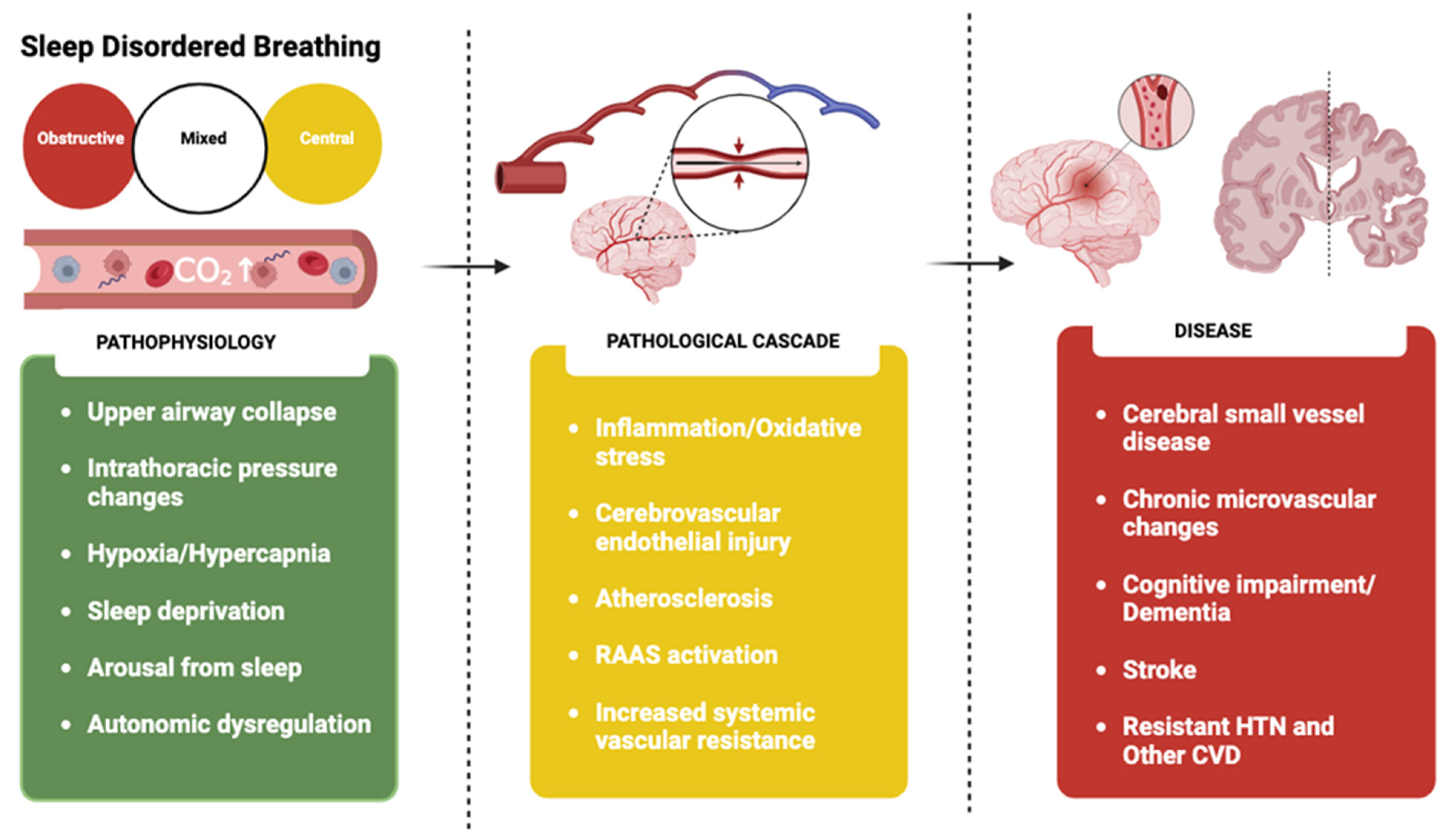 Jcm 13 05001 g003 Jcm 13 05001 g003