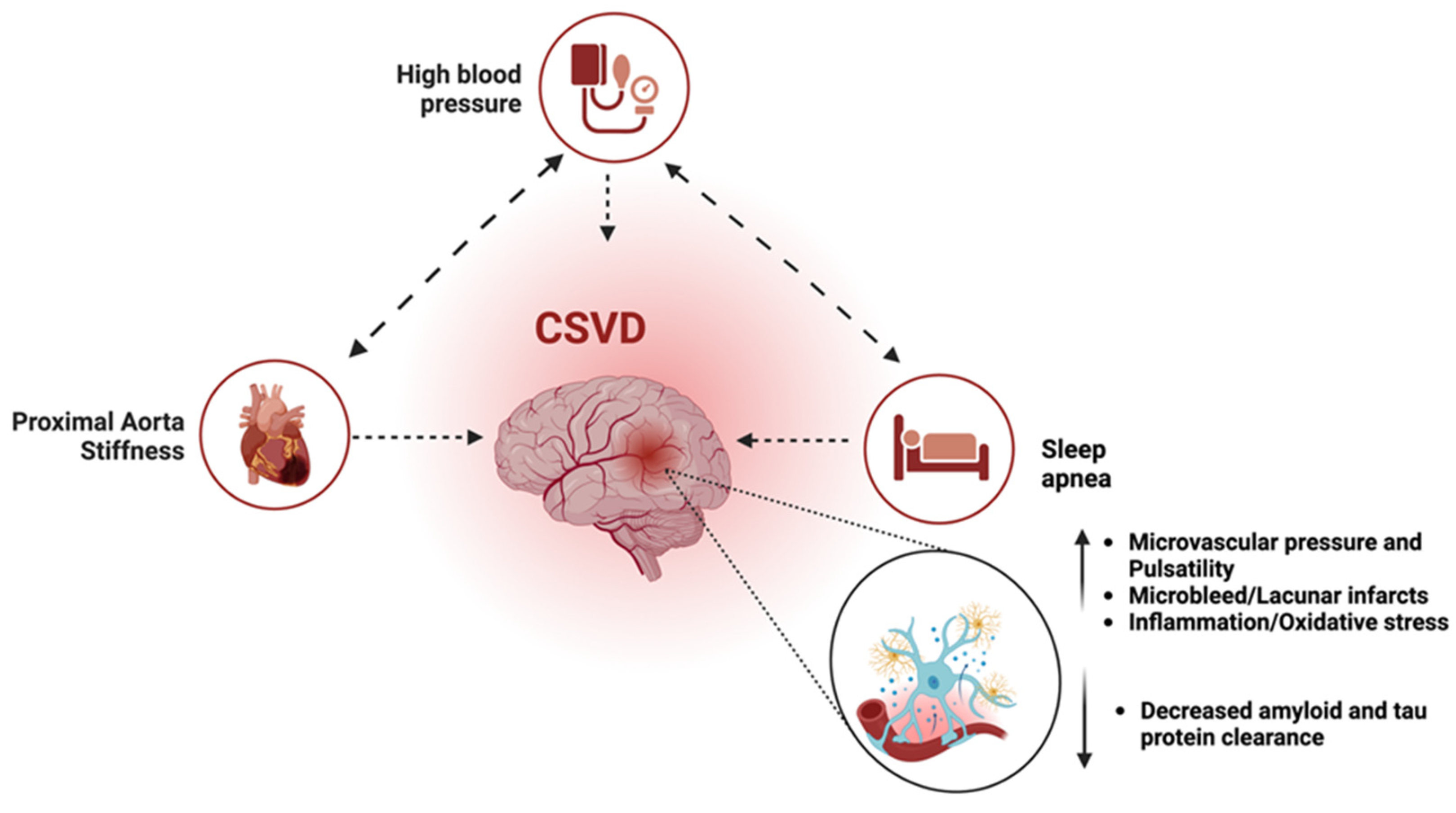 Jcm 13 05001 g004 Jcm 13 05001 g004