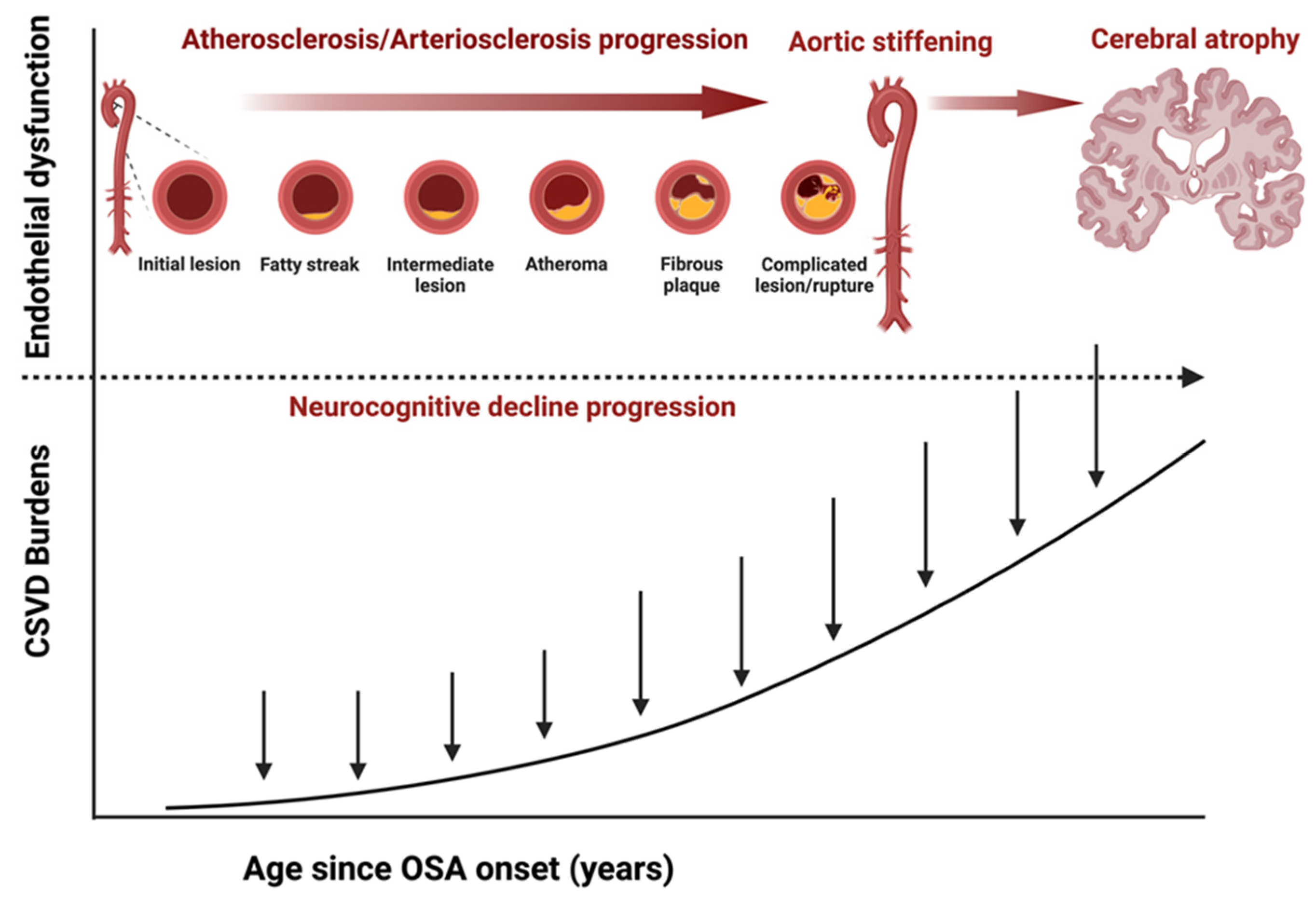 Jcm 13 05001 g005 Jcm 13 05001 g005