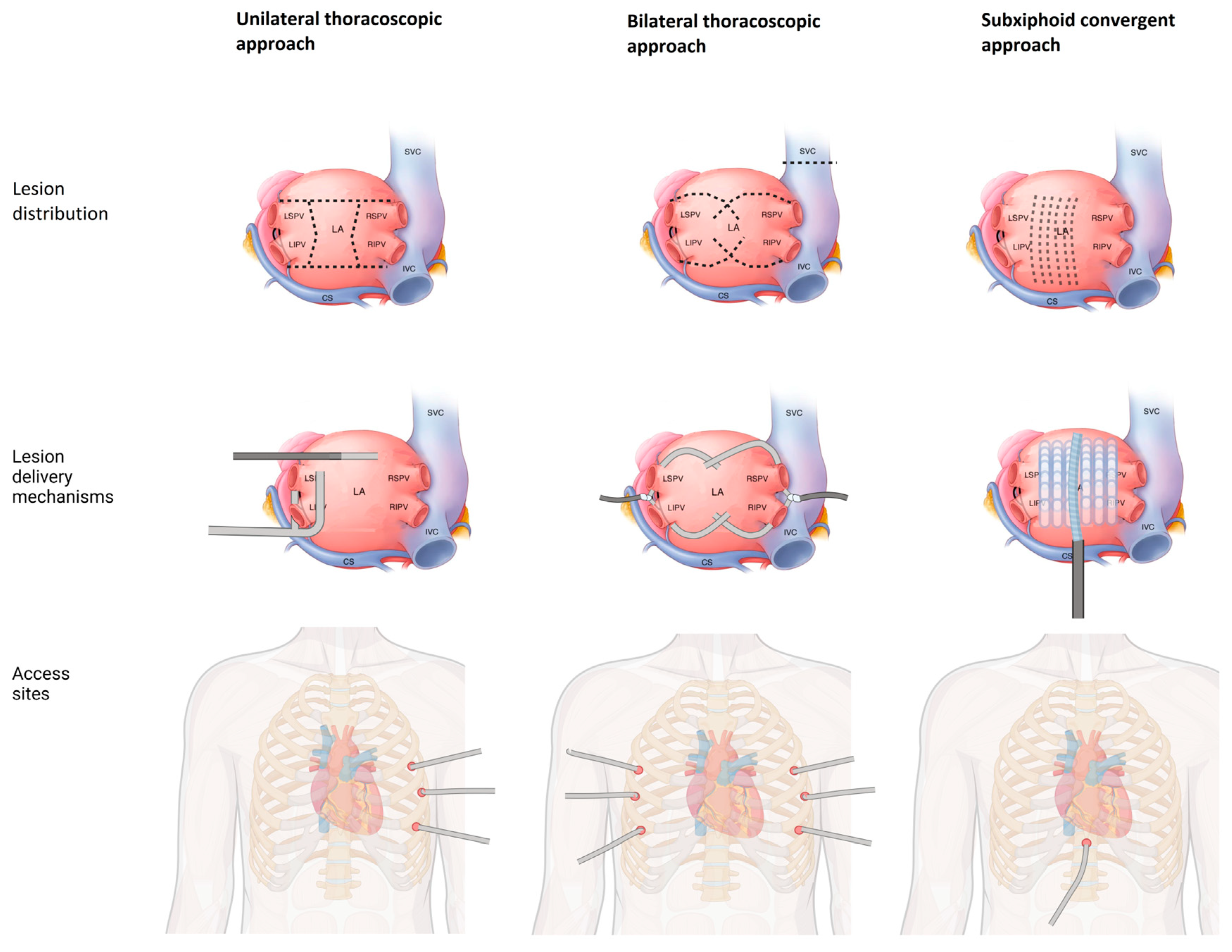 Jcm 13 05031 g001 Jcm 13 05031 g001