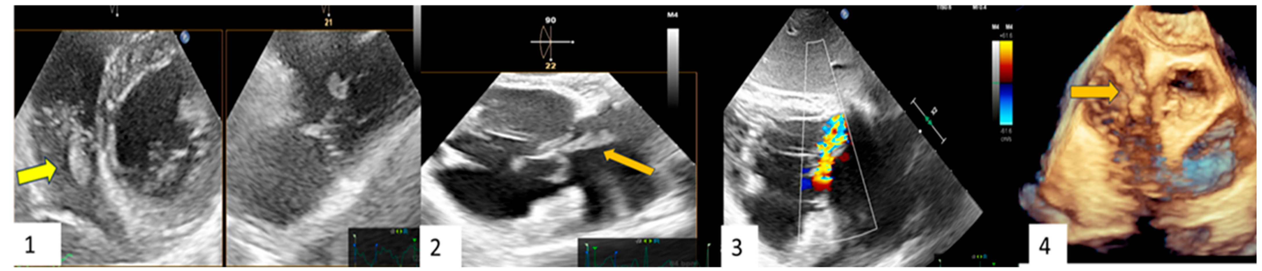 Jcm 13 05058 i001 Jcm 13 05058 i001