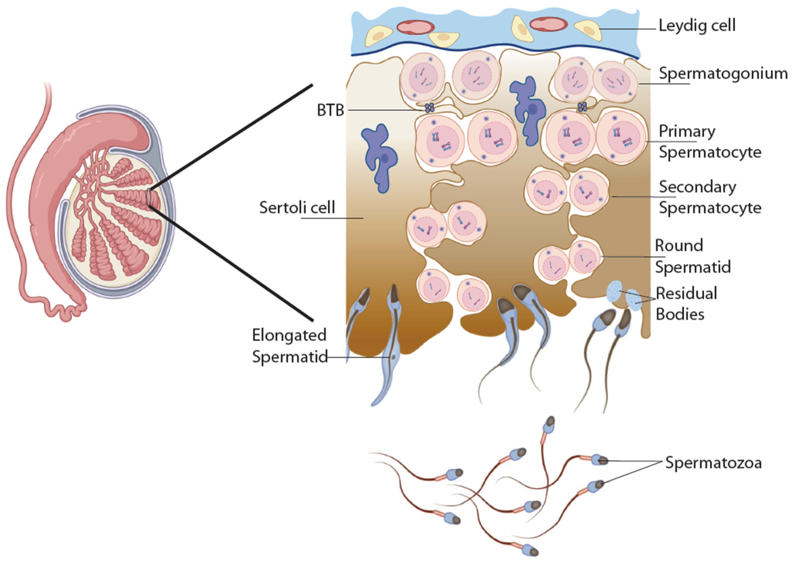 Jcm 13 05097 g001 Jcm 13 05097 g001