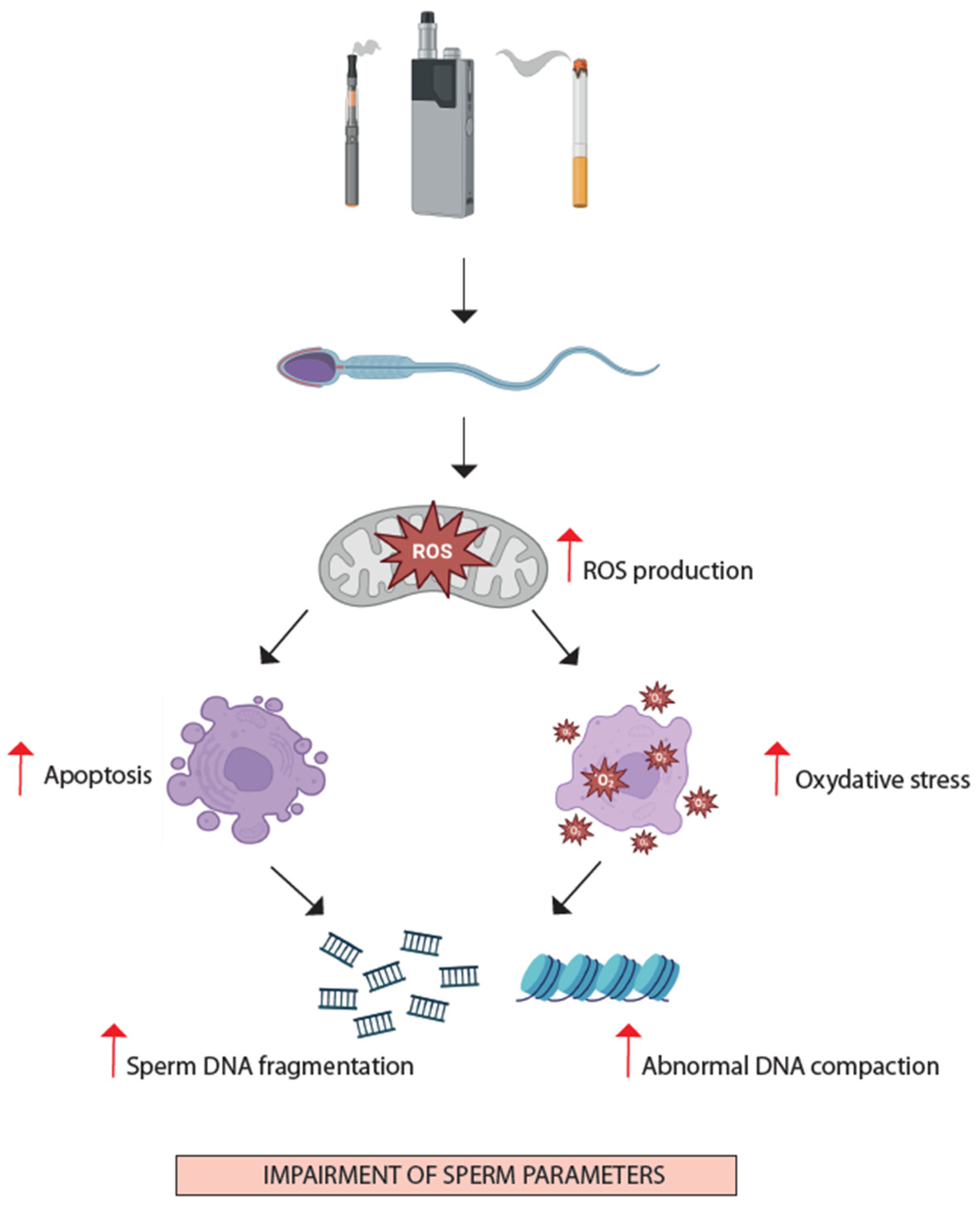 Jcm 13 05097 g002 Jcm 13 05097 g002
