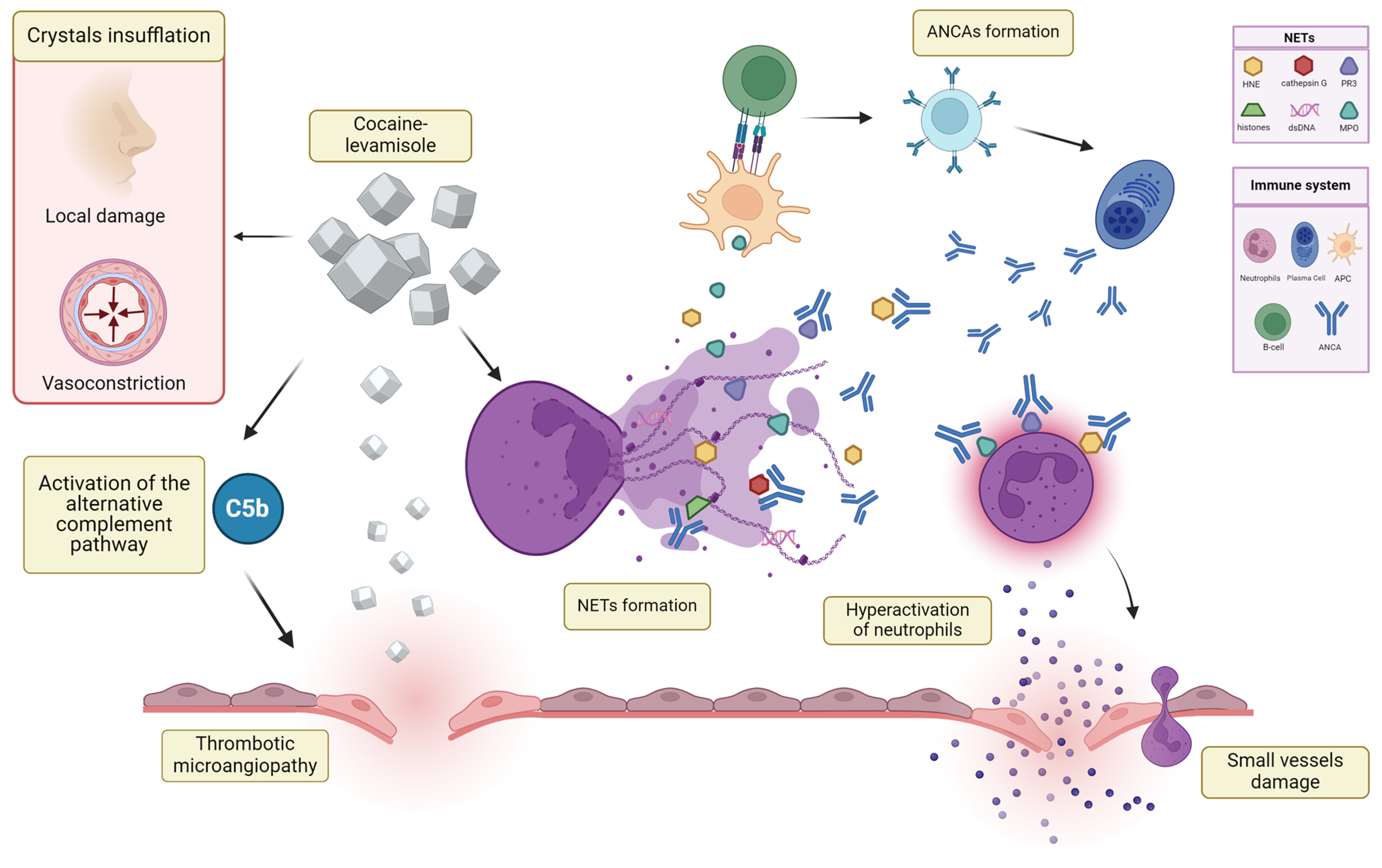 Jcm 13 05116 g001 Jcm 13 05116 g001