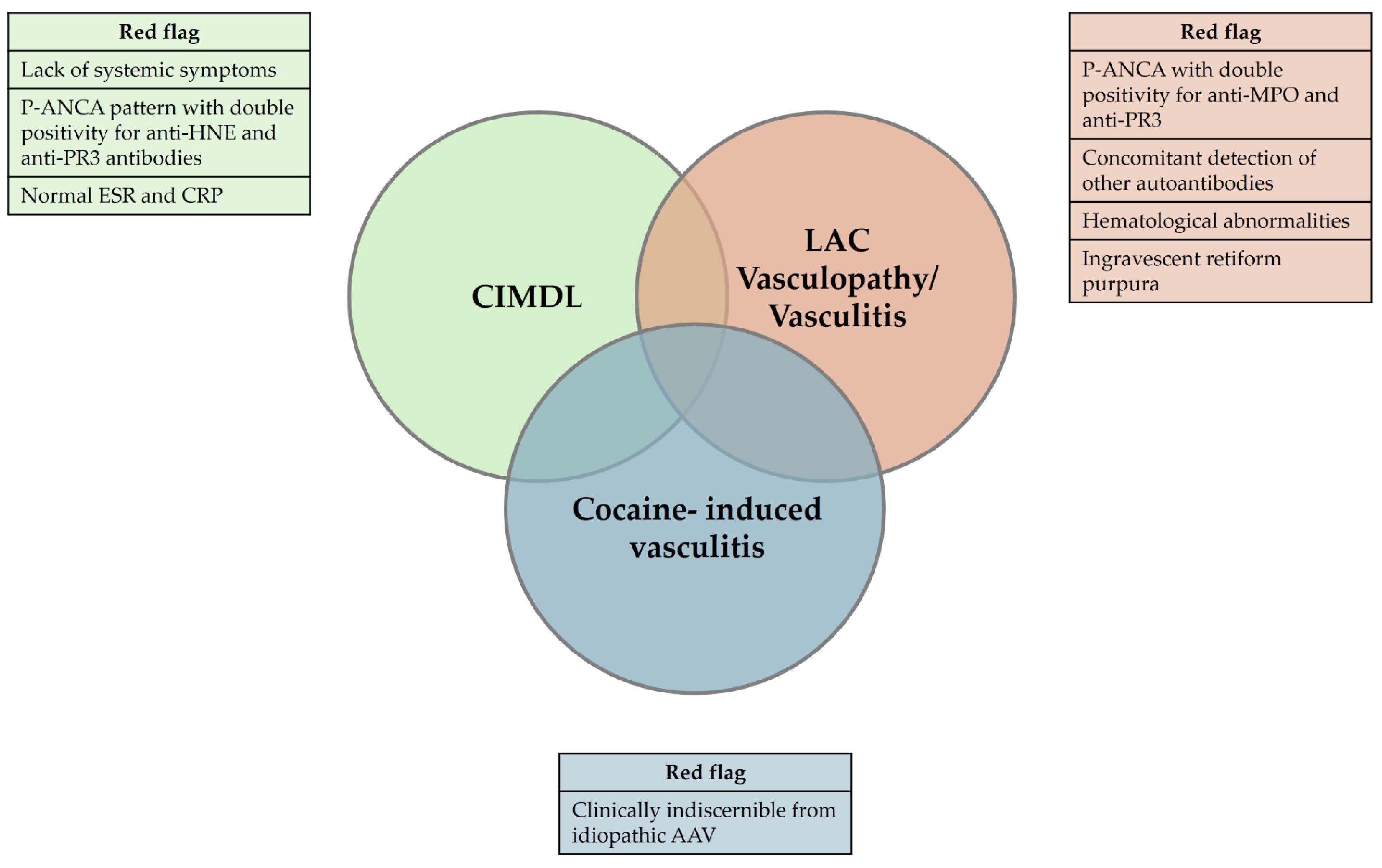 Jcm 13 05116 g005 Jcm 13 05116 g005