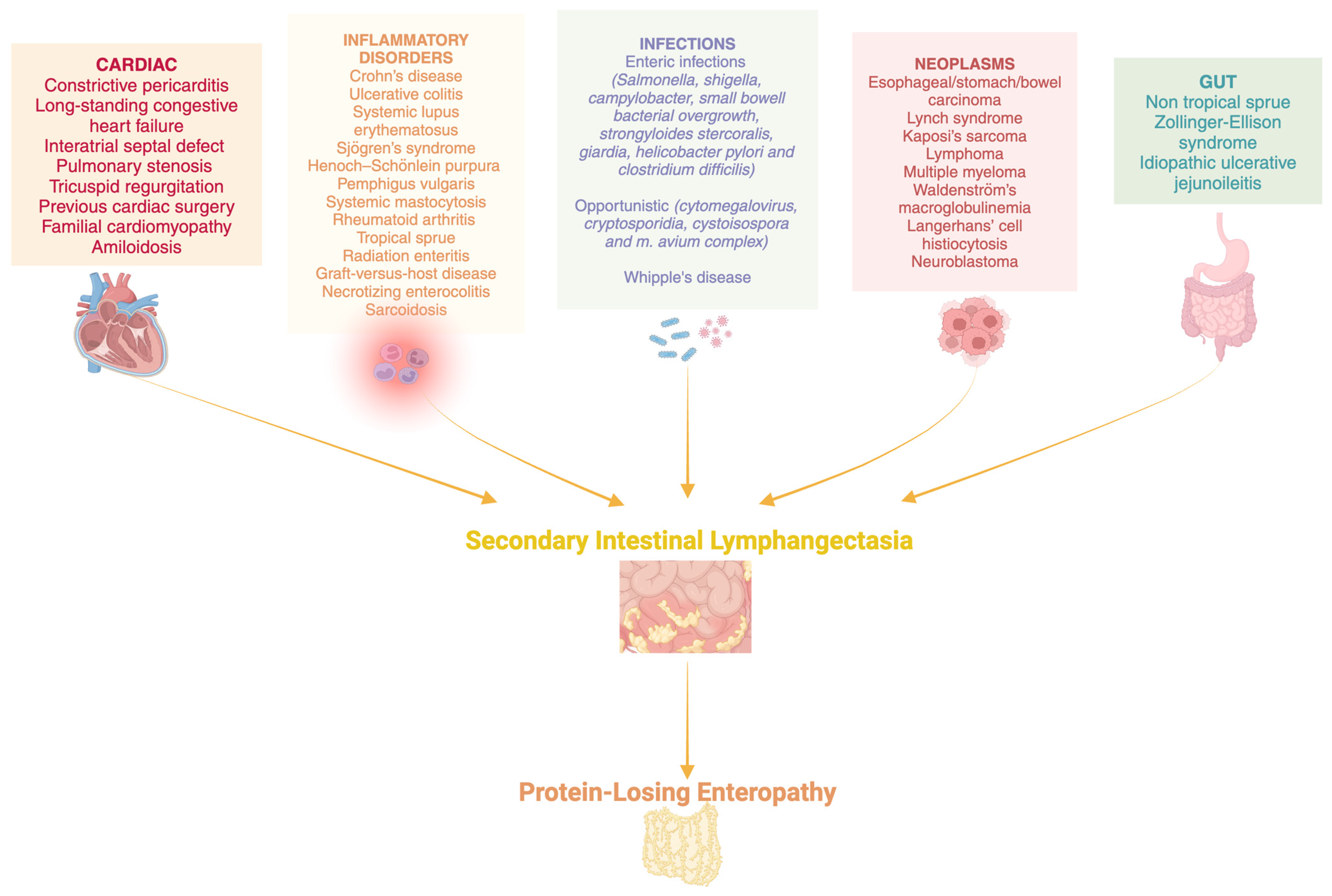 Constrictive Pericarditis and Protein-Losing Enteropathies 
