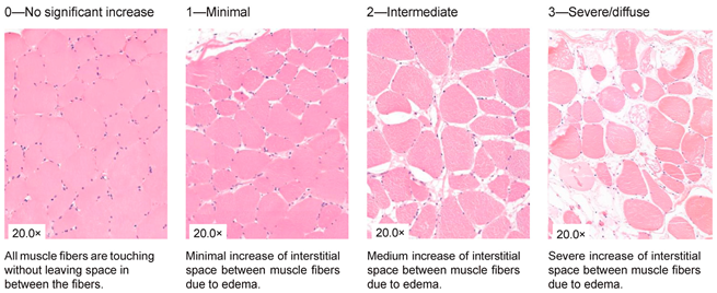 Jcm 13 05167 i001 Jcm 13 05167 i001