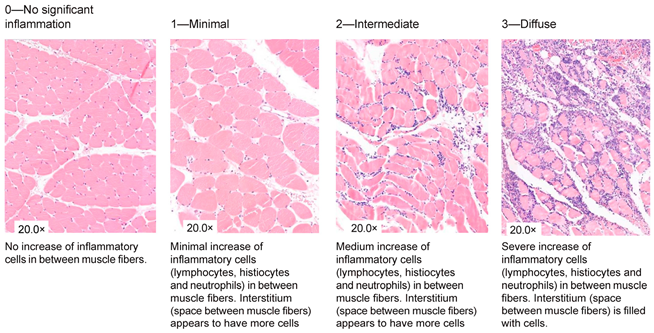 Jcm 13 05167 i002 Jcm 13 05167 i002