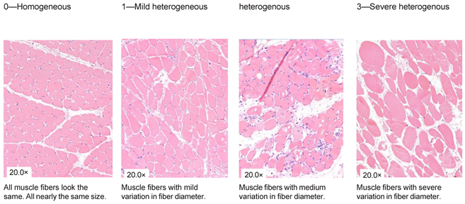 Jcm 13 05167 i003 Jcm 13 05167 i003