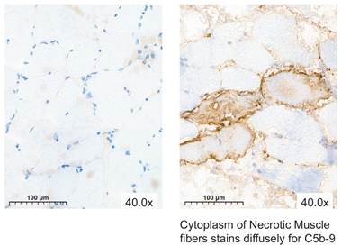 Jcm 13 05167 i006 Jcm 13 05167 i006