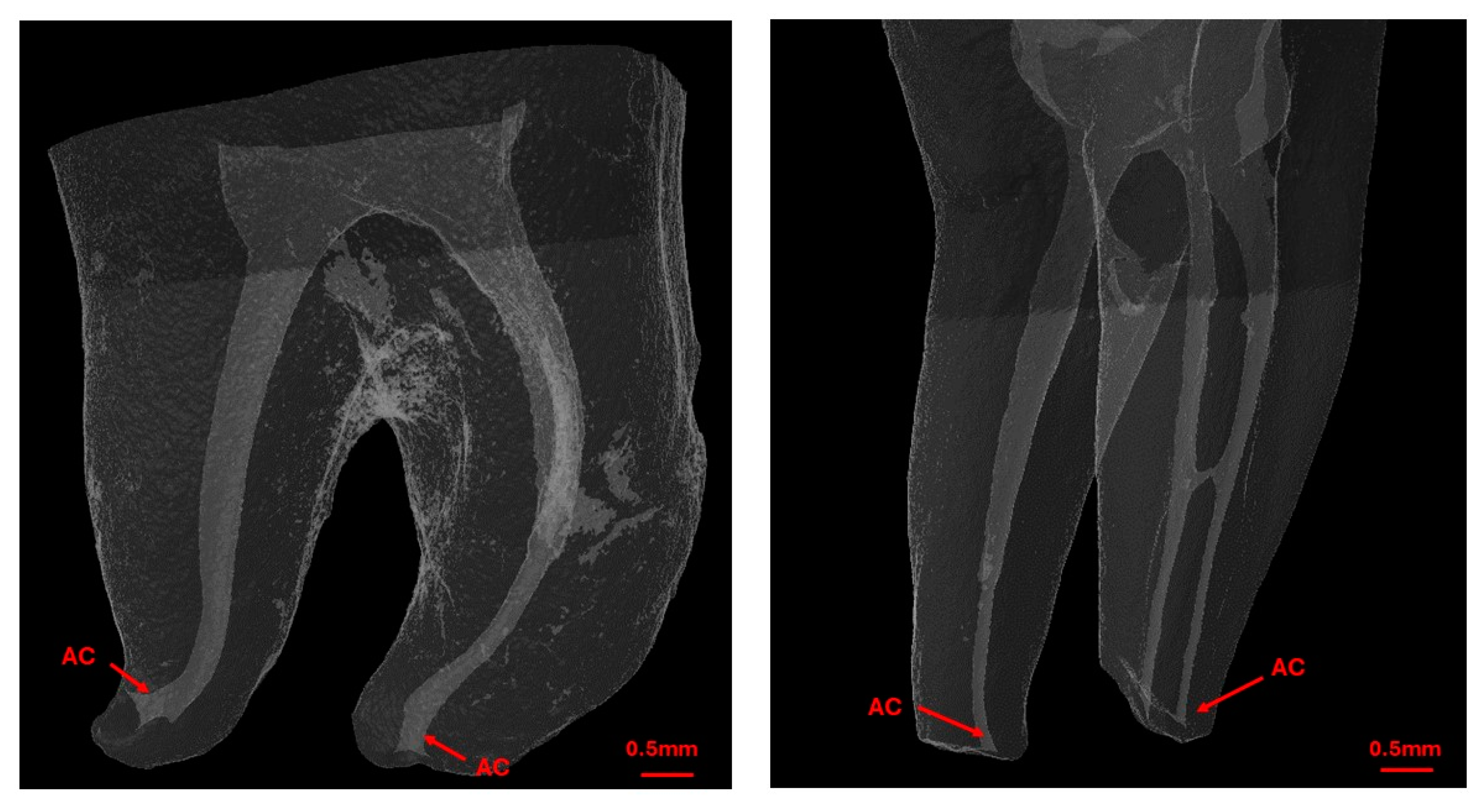 Jcm 13 05199 g003 Jcm 13 05199 g003