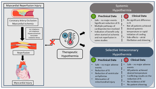 dsip hypothermia for Cardioprotection in Acute Coronary Syndrome Patients: From Bench to Bedside Thermodynamics & Hypothermia