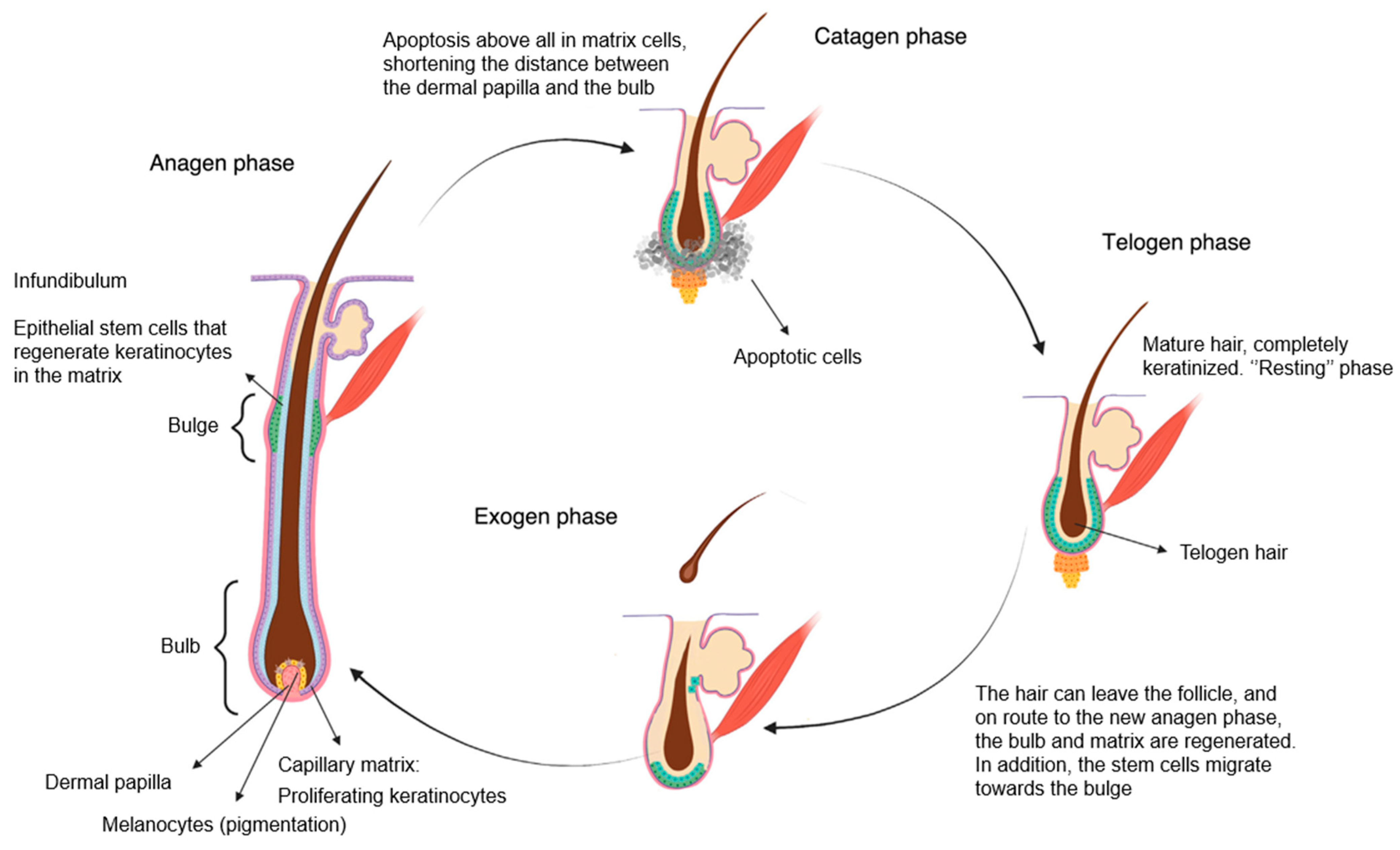 Jcm 13 05397 g004 Jcm 13 05397 g004