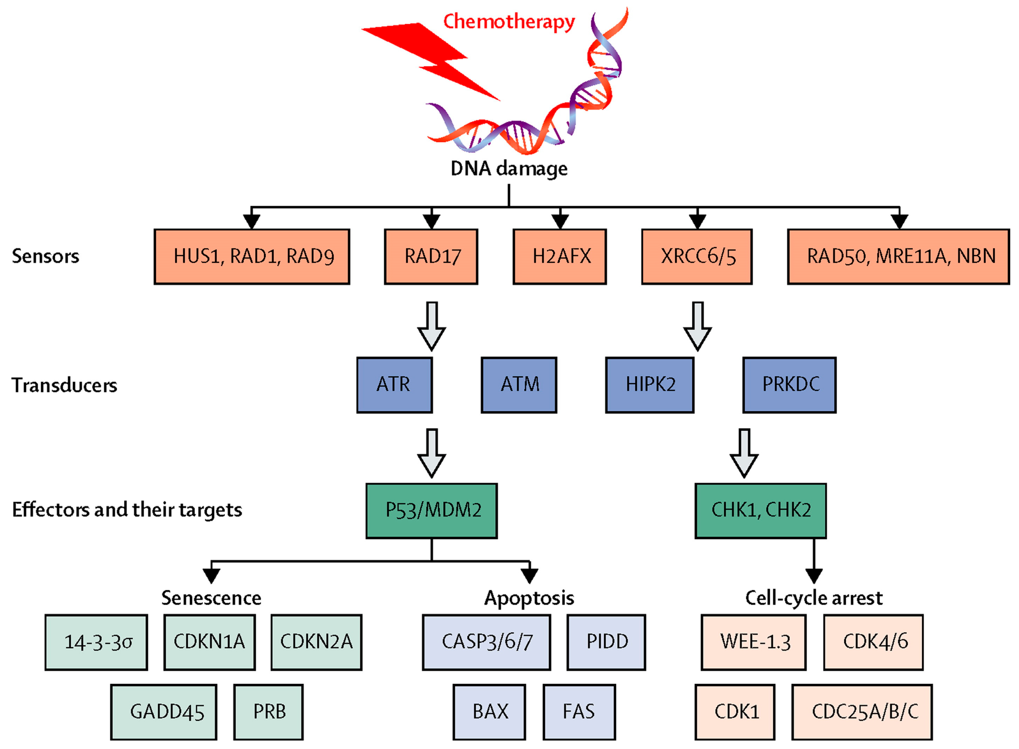 Jcm 13 05397 g005 Jcm 13 05397 g005
