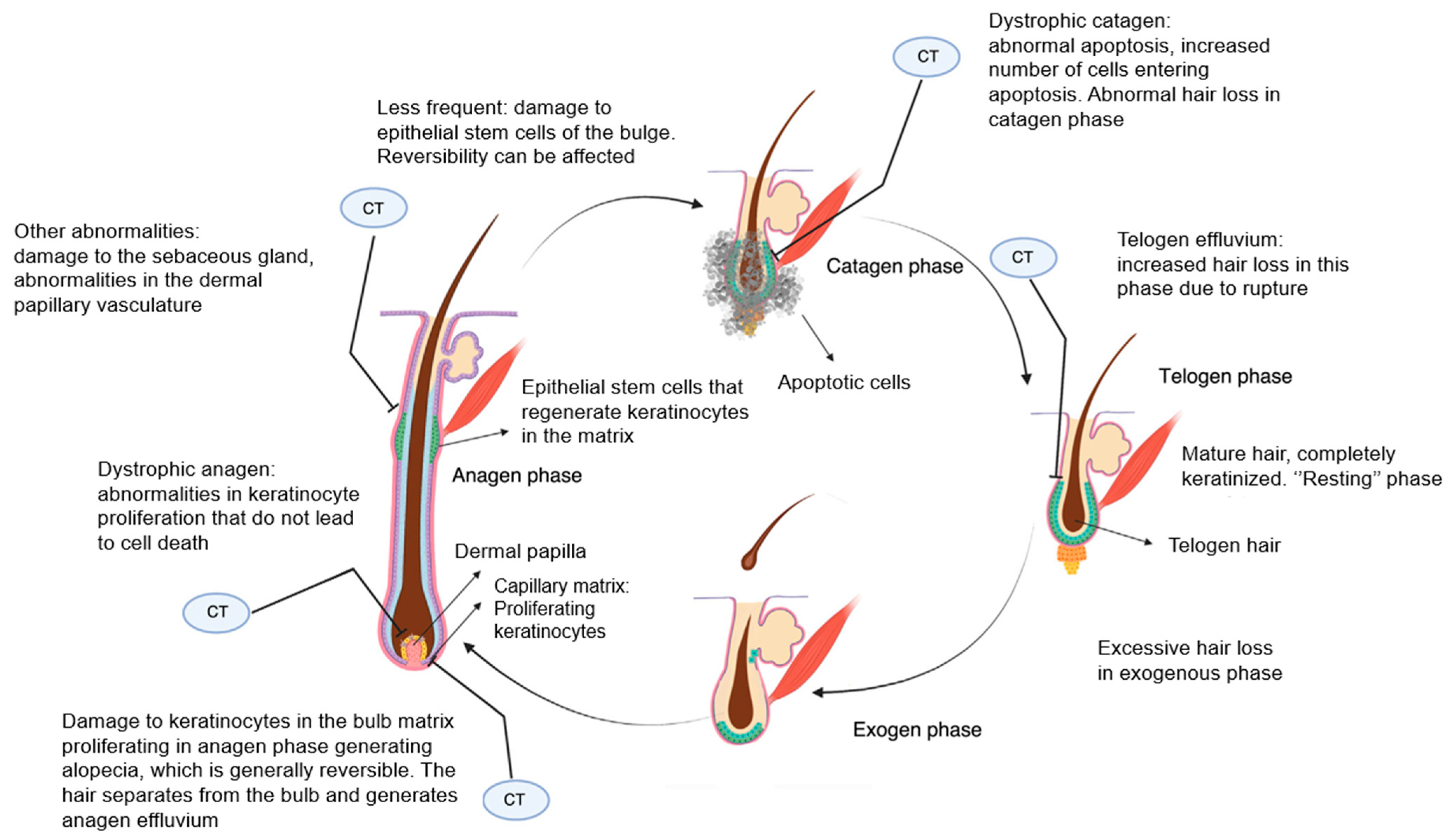 Jcm 13 05397 g006 Jcm 13 05397 g006