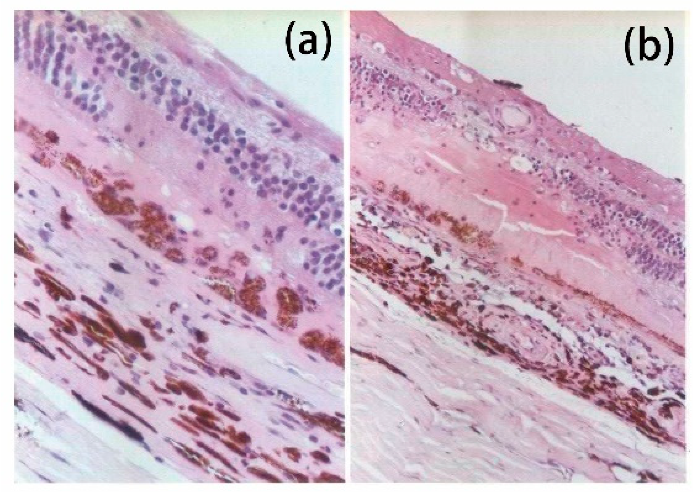 Jcm 13 05439 g001 Jcm 13 05439 g001