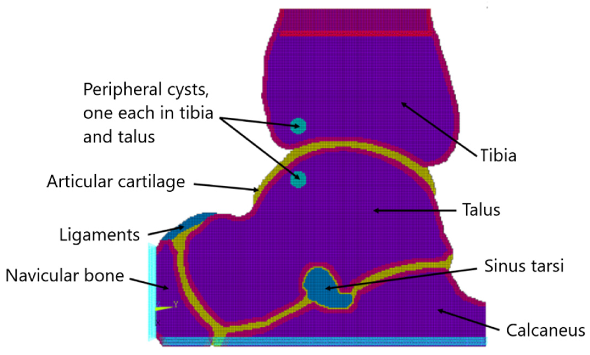 Jcm 13 05453 g001 Jcm 13 05453 g001