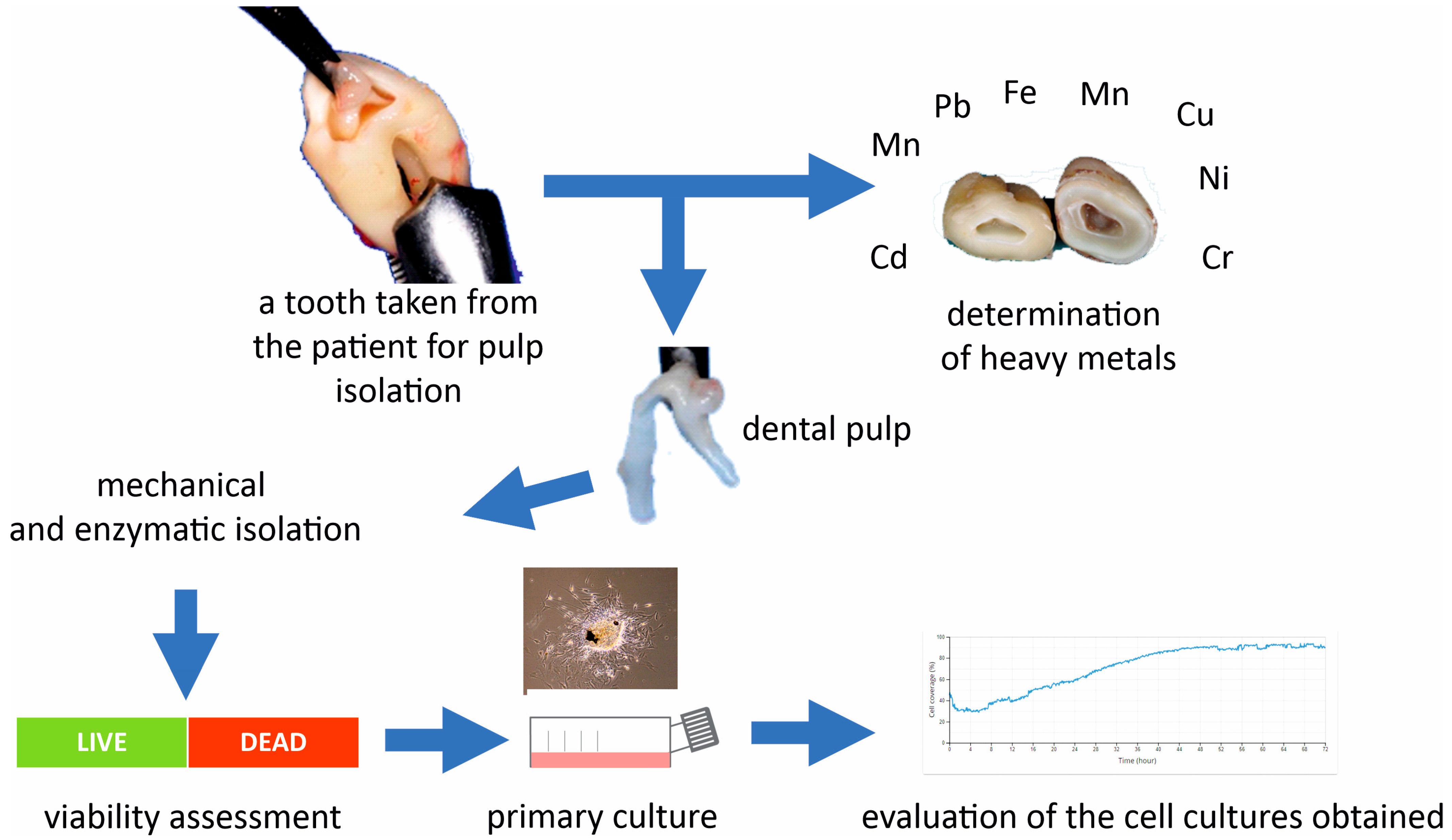 Jcm 13 05465 g001 Jcm 13 05465 g001