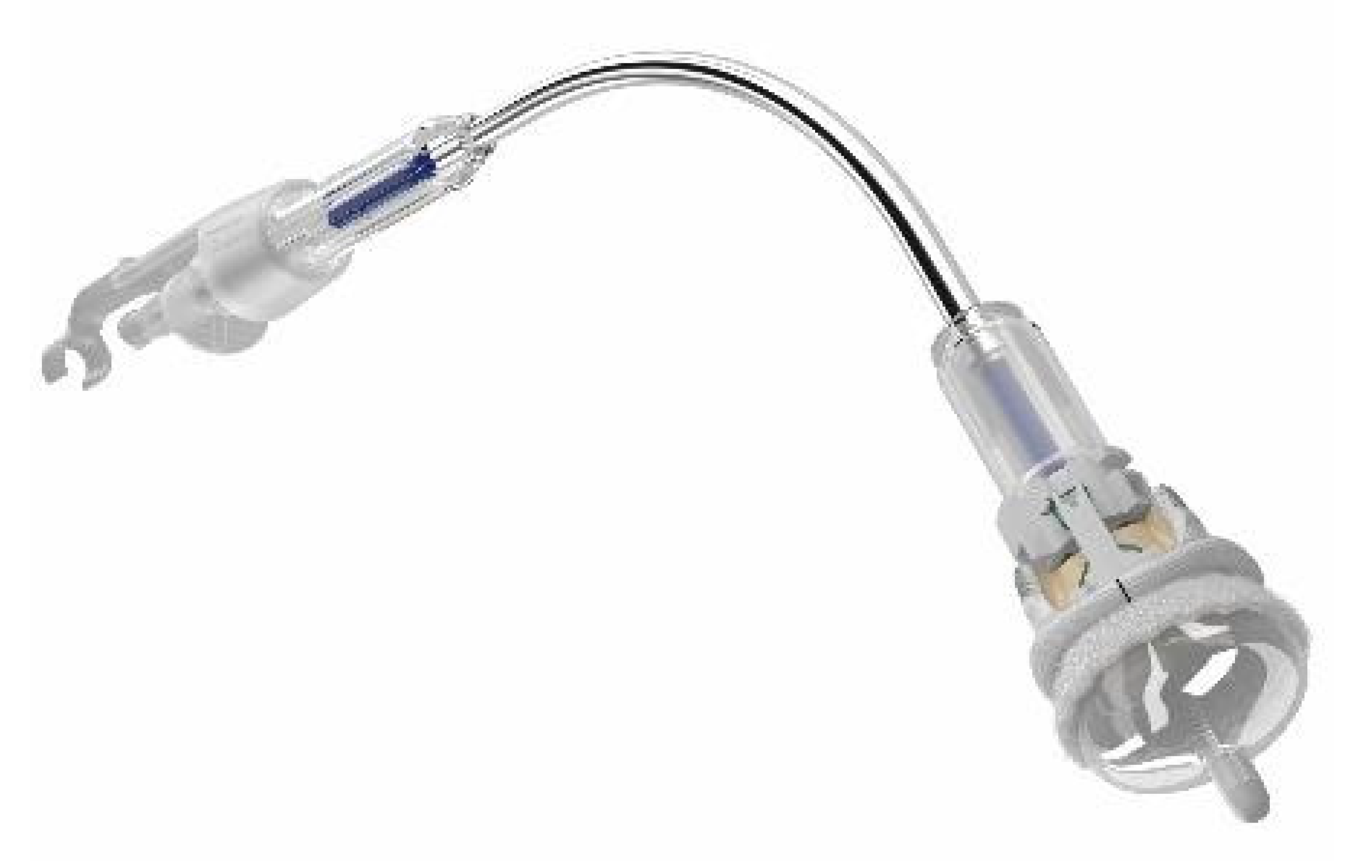 Jcm 13 05592 g003 Jcm 13 05592 g003