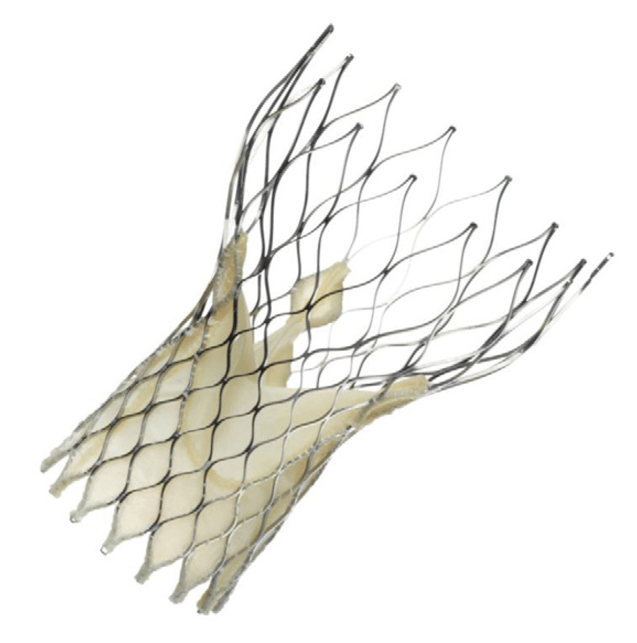 Jcm 13 05592 g005 Jcm 13 05592 g005