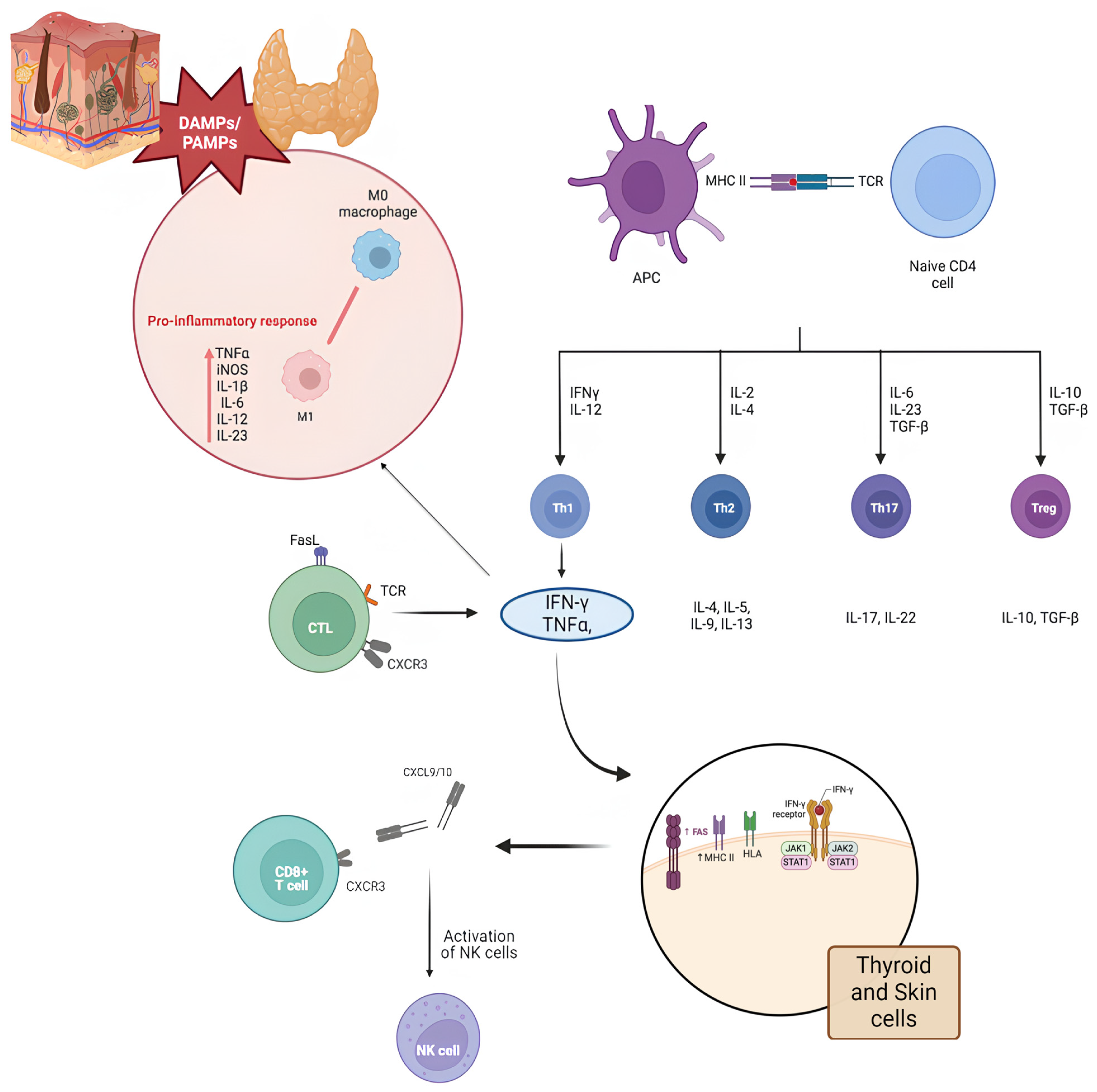 Jcm 13 05594 g001 Jcm 13 05594 g001