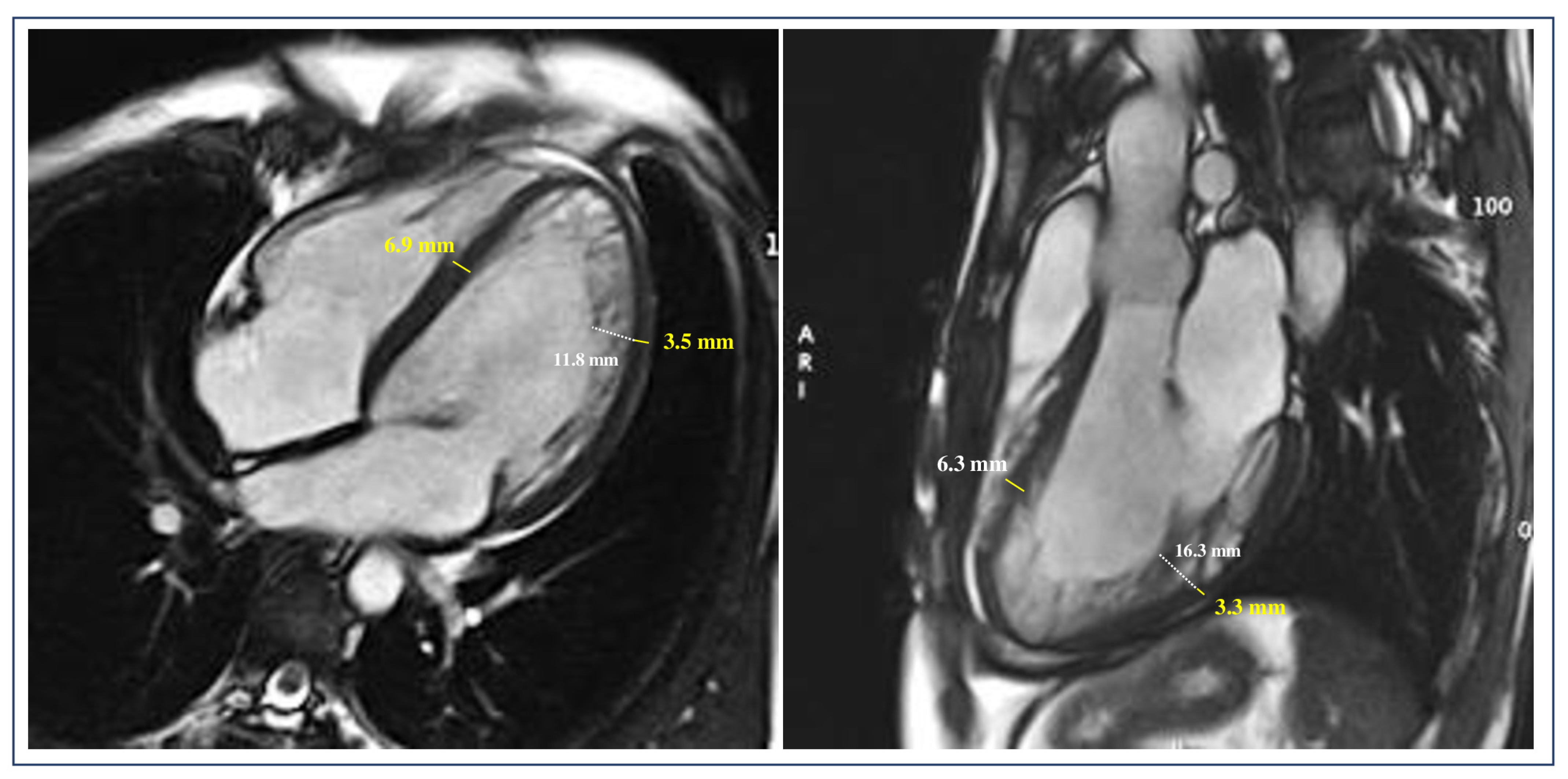 Jcm 13 05674 g002 Jcm 13 05674 g002
