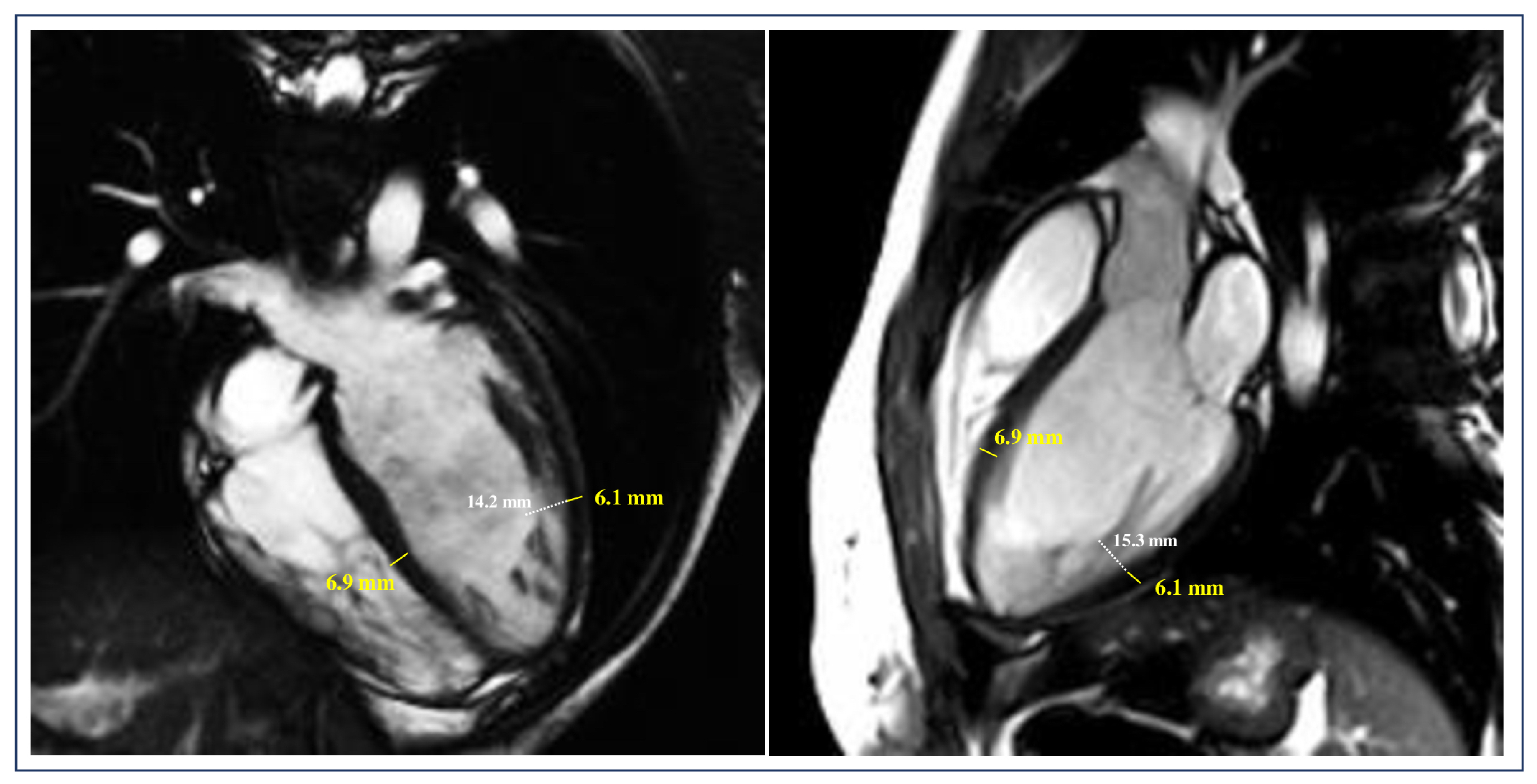 Jcm 13 05674 g003 Jcm 13 05674 g003
