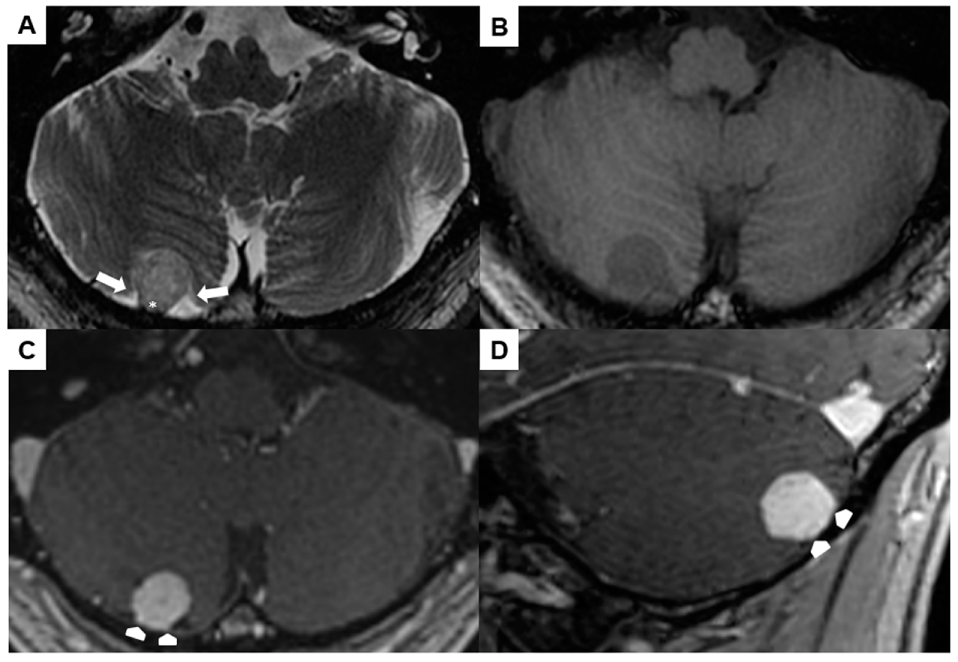 Jcm 13 05813 g004 Jcm 13 05813 g004