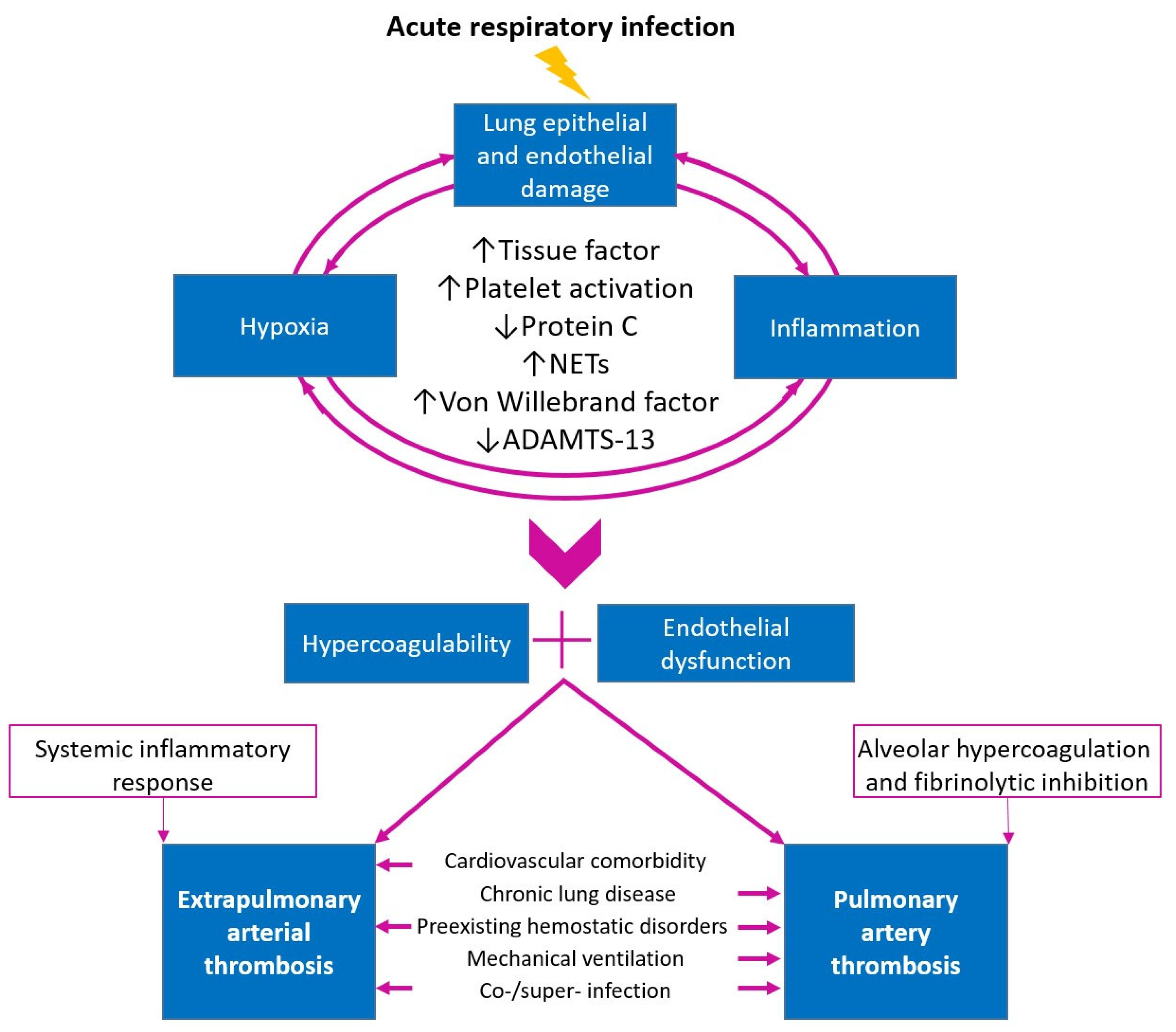 Jcm 13 06007 g001 Jcm 13 06007 g001