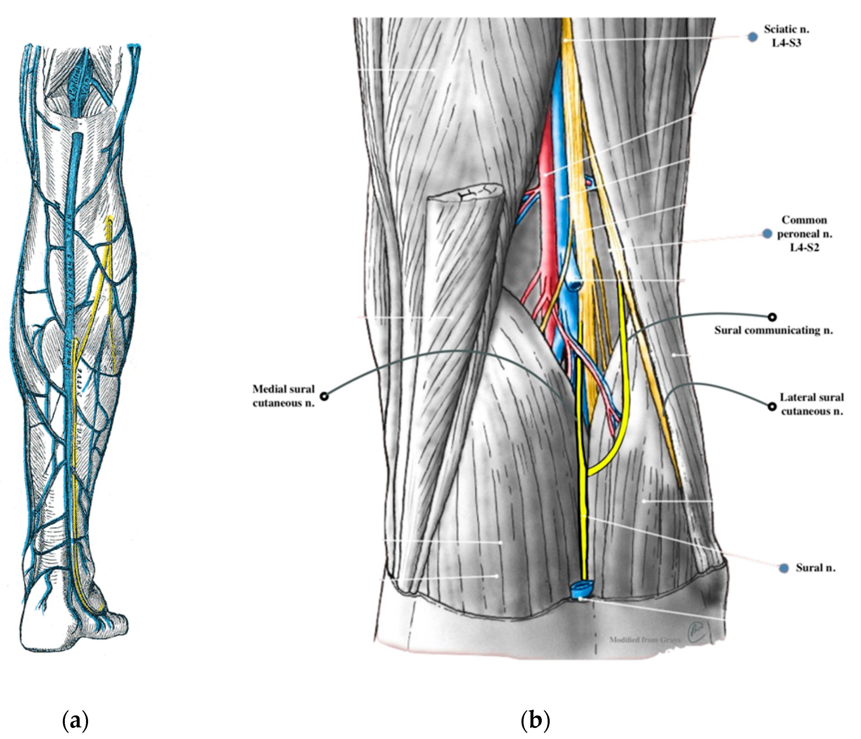 Jcm 13 06055 g001 Jcm 13 06055 g001