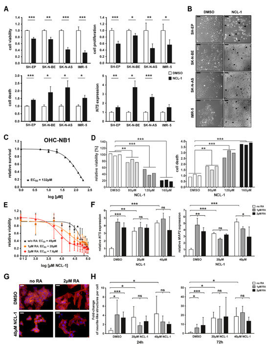 Targeting KDM1A in Neuroblastoma with NCL-1 Induces a Less