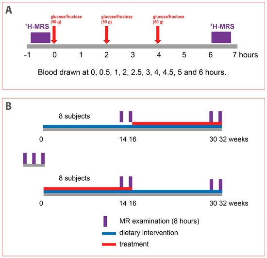 tirzepatide dementia GLP-1s Could Protect Against Neurodegeneration, Study Finds tirzepatide dementia GLP-1s Could Protect Against Neurodegeneration, Study Finds