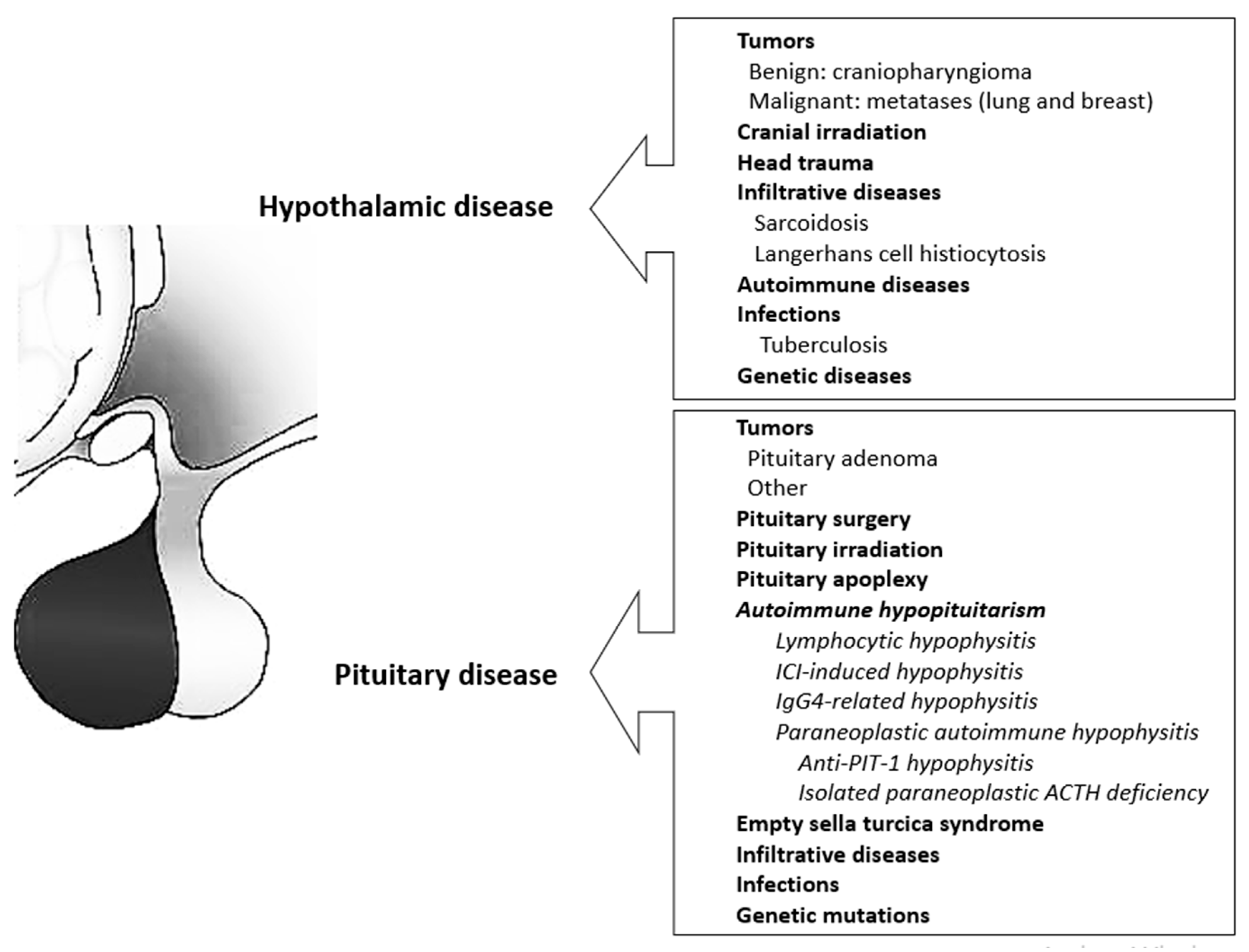 Jcm 13 06161 g001 Jcm 13 06161 g001