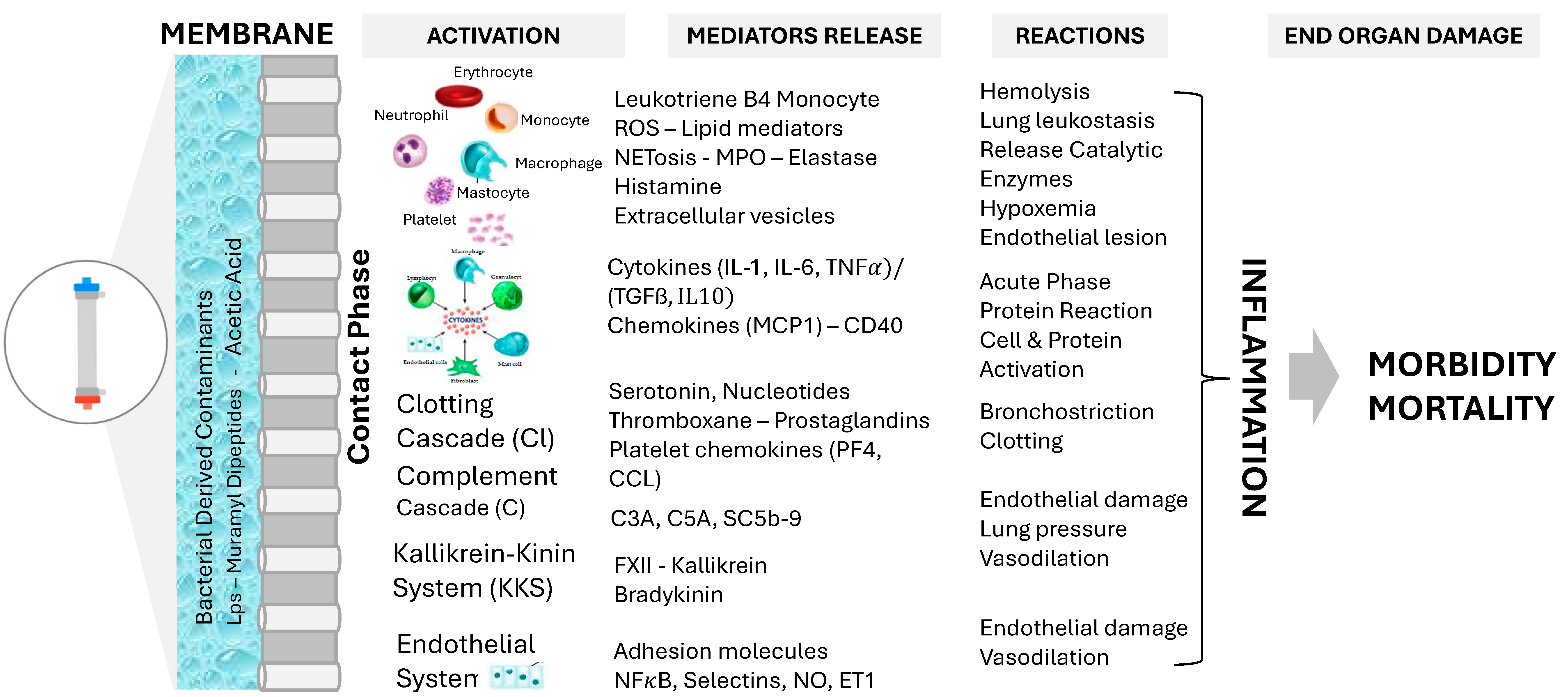 Jcm 13 06165 g001 Jcm 13 06165 g001