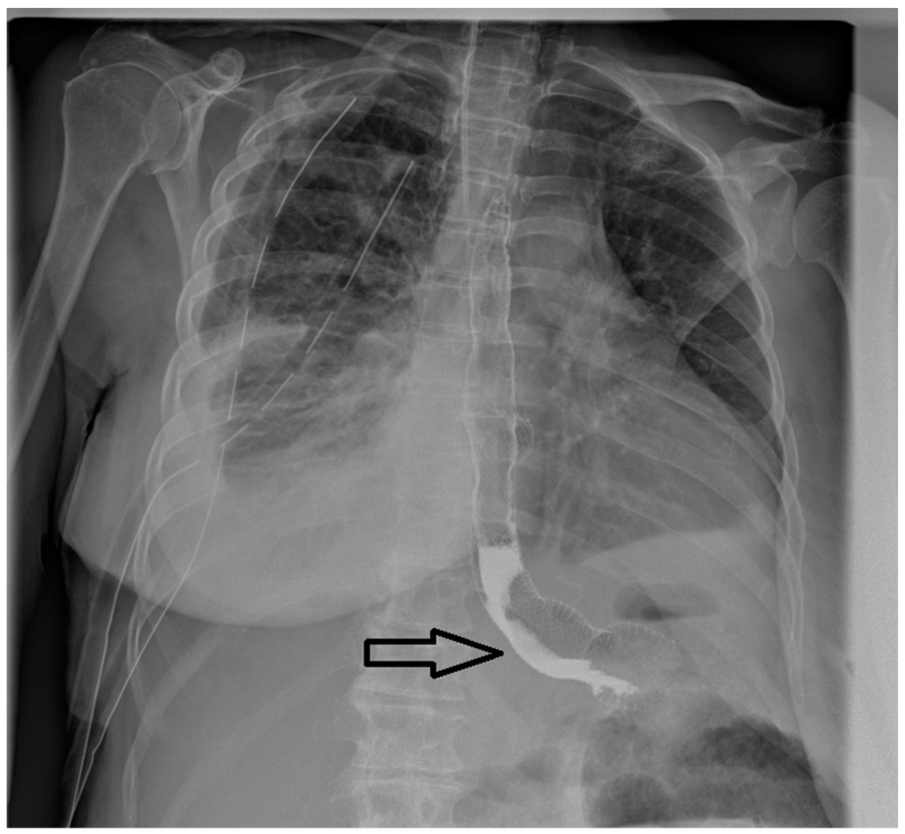 Jcm 13 06167 g001 Jcm 13 06167 g001