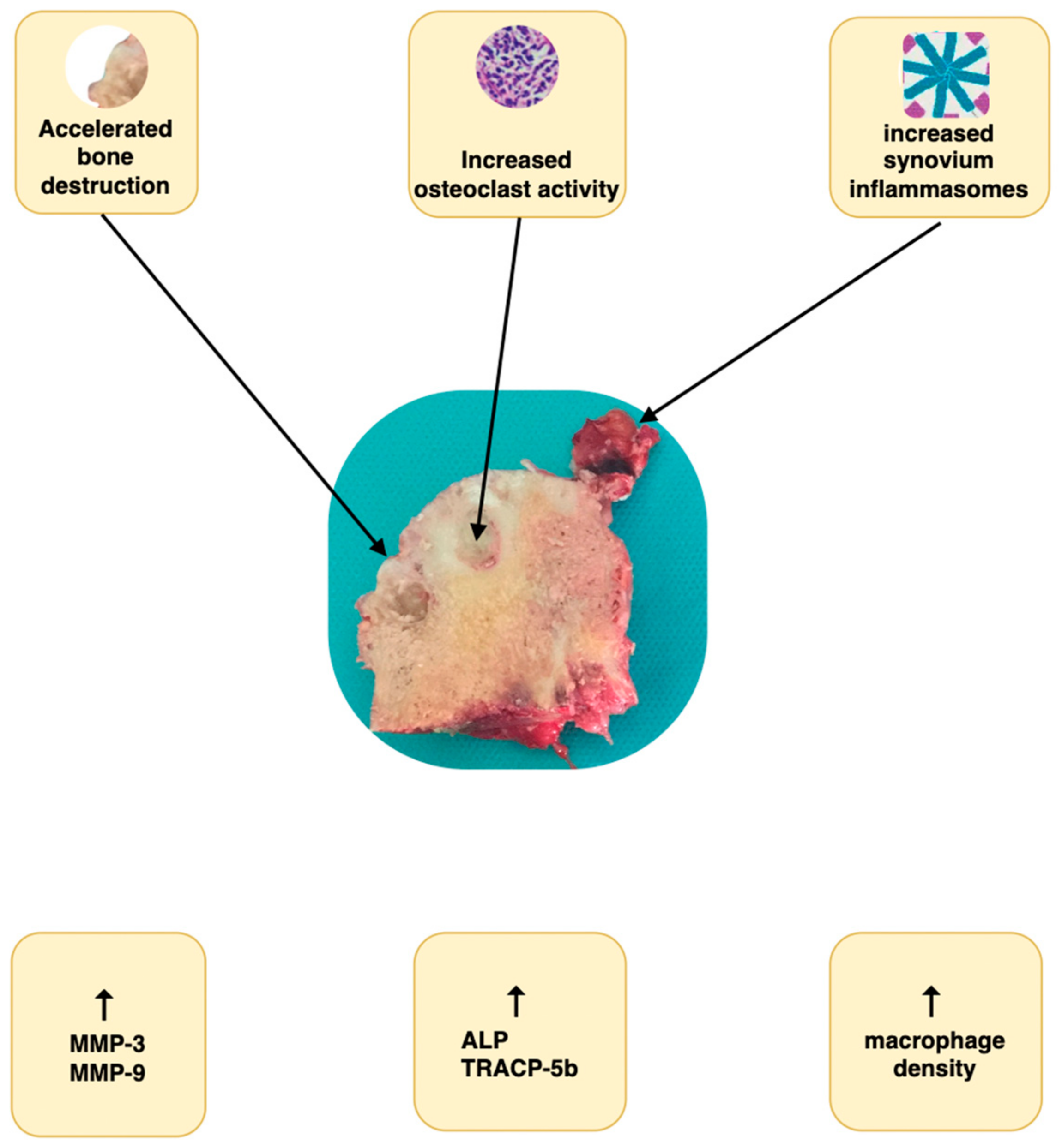 Jcm 13 06194 g001 Jcm 13 06194 g001