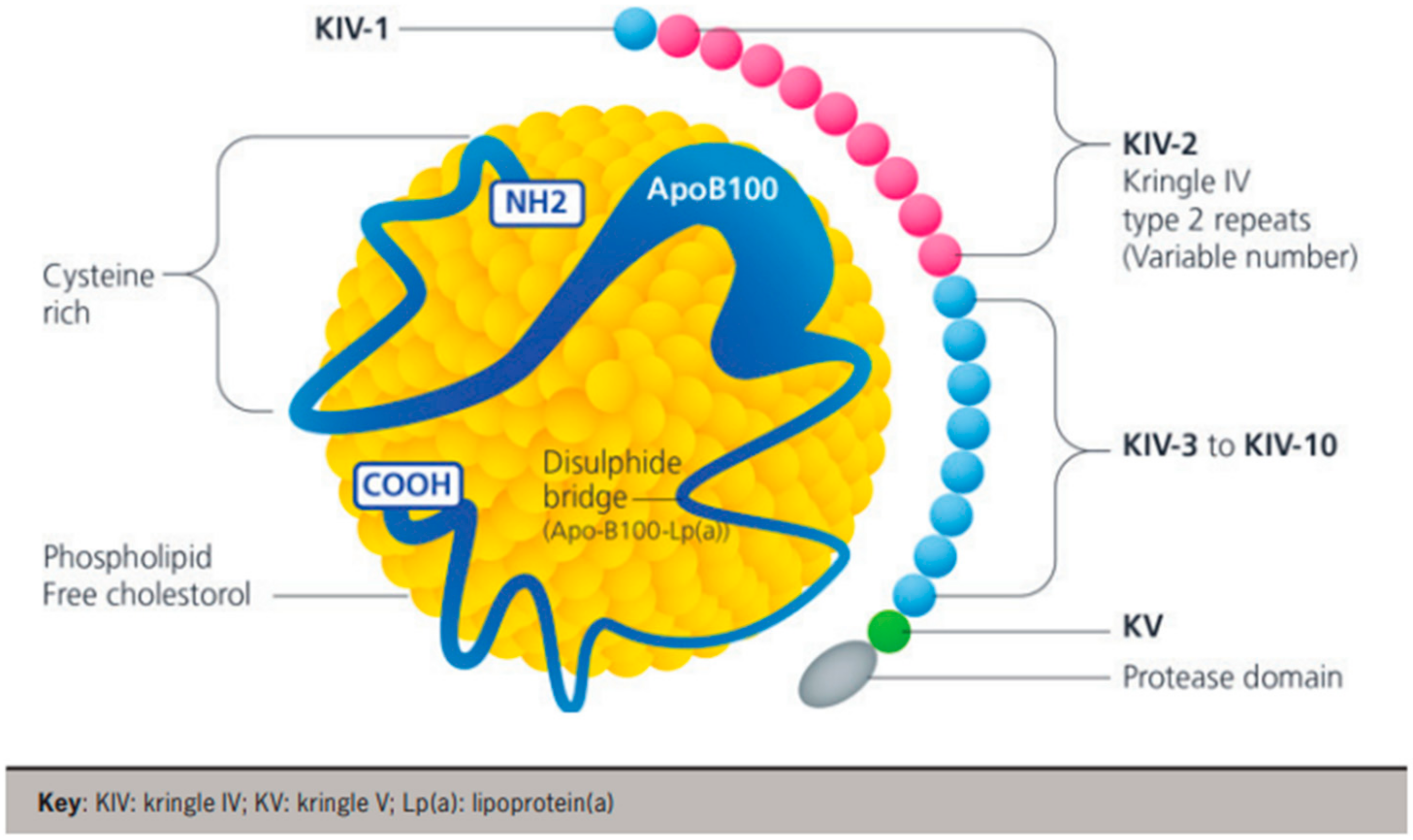 Jcm 13 06311 g001 Jcm 13 06311 g001