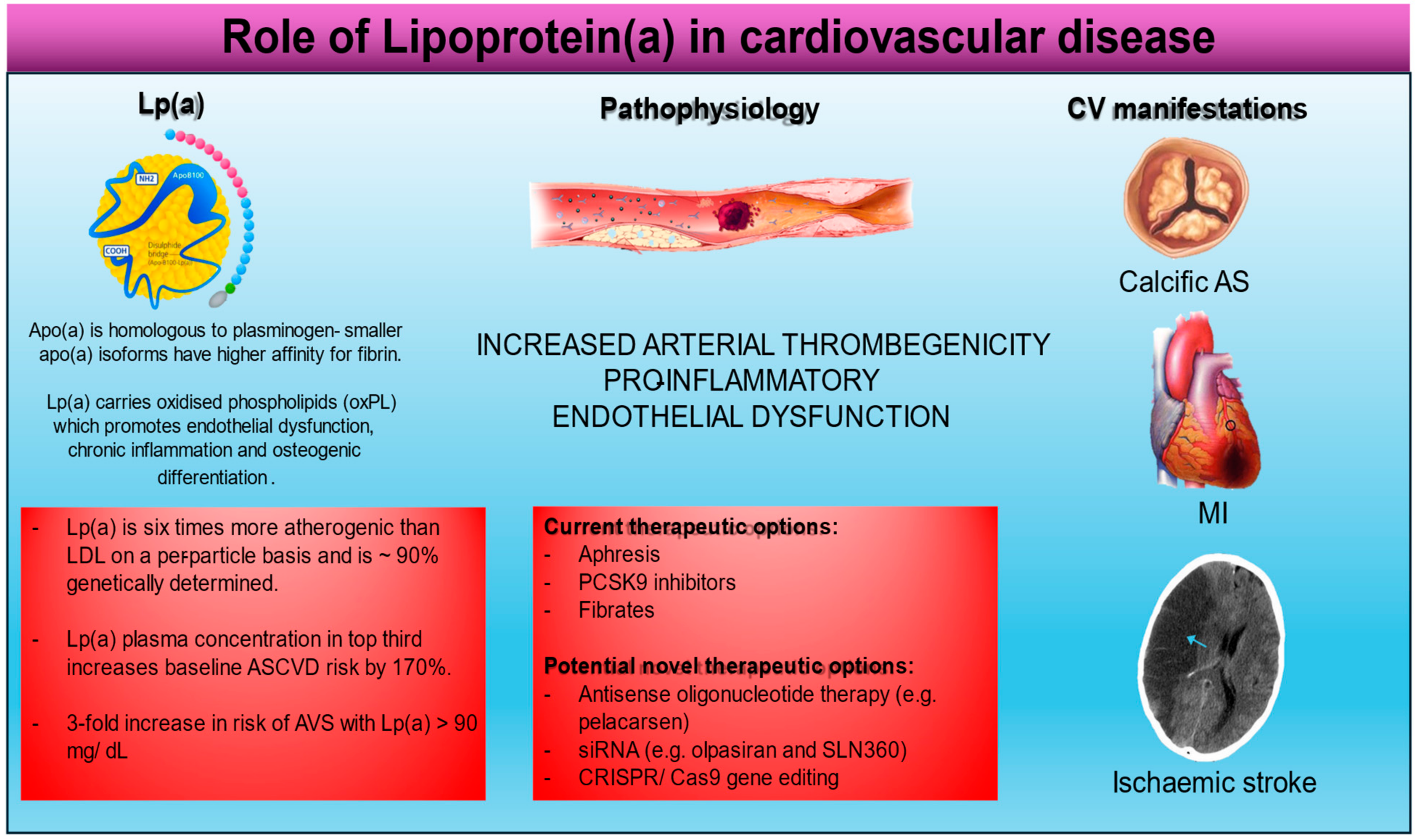 Jcm 13 06311 g0a1 Jcm 13 06311 g0a1