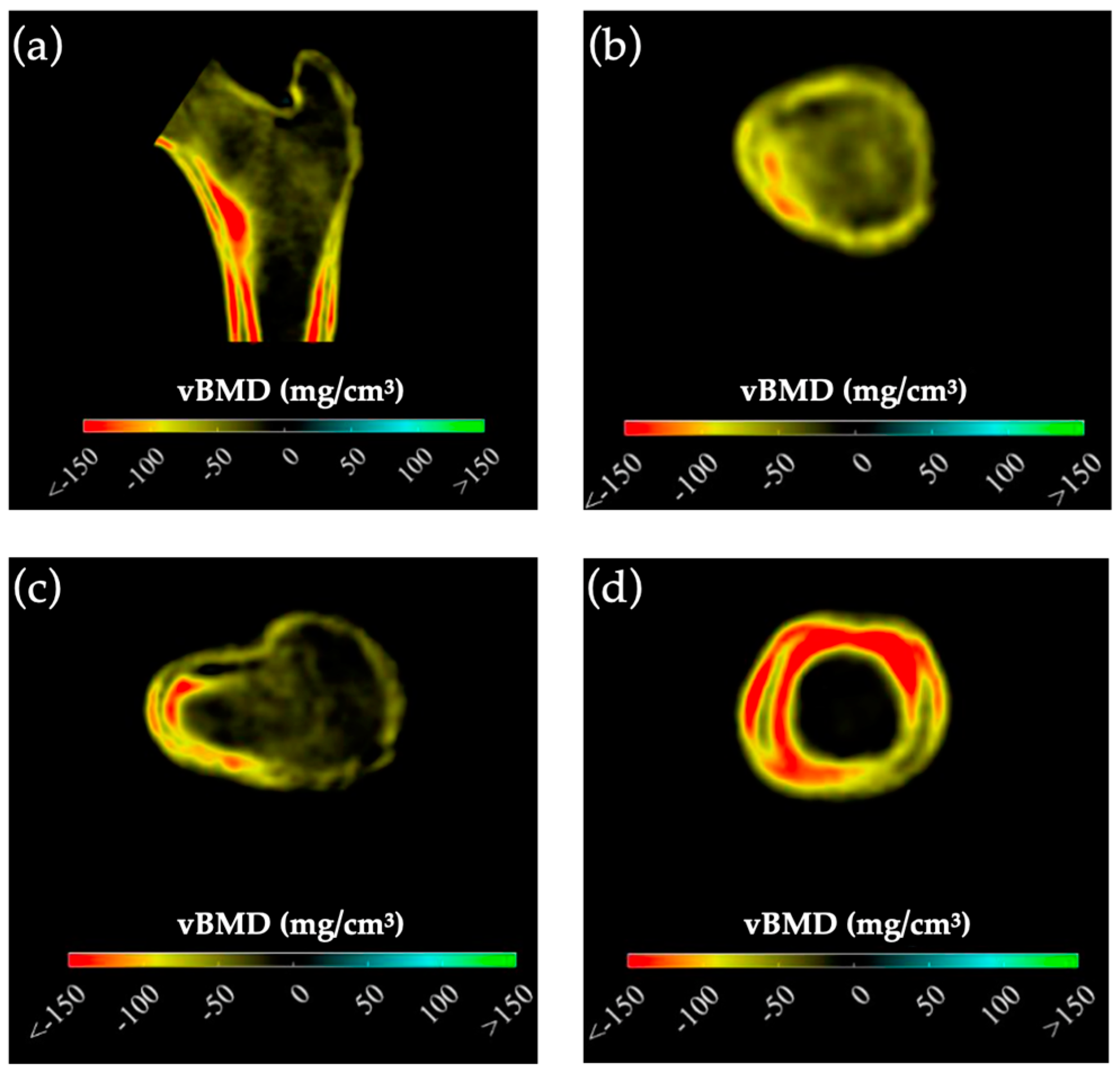 Jcm 13 06382 g003 Jcm 13 06382 g003