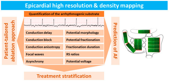 High-Density and Resolution Epicardial Mapping of the Atria 