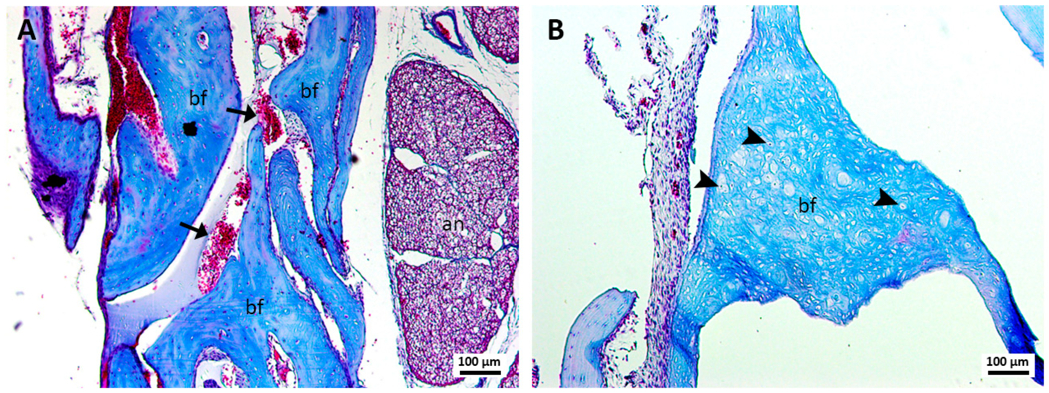 Jcm 13 06389 g001 Jcm 13 06389 g001
