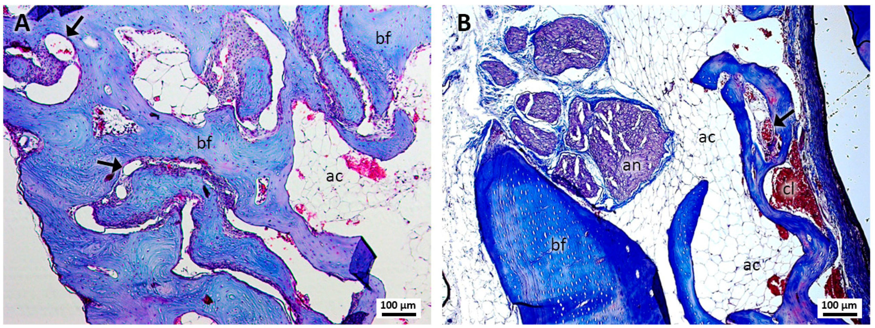 Jcm 13 06389 g002 Jcm 13 06389 g002