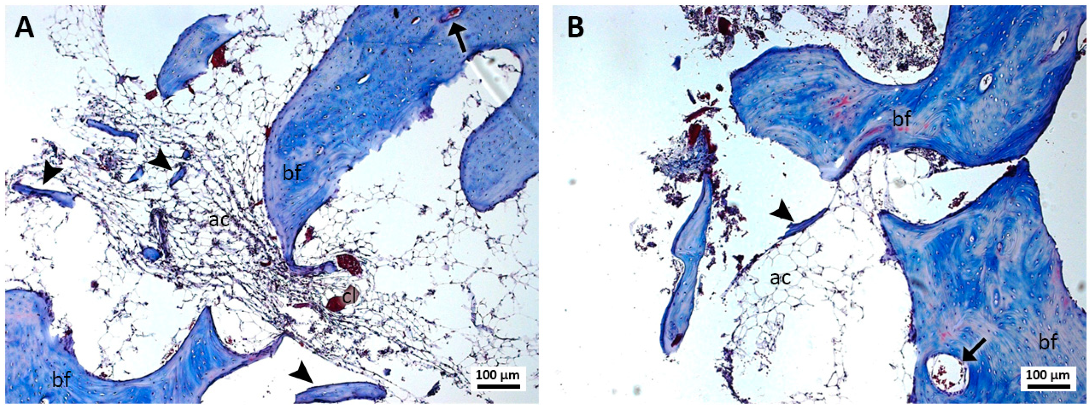Jcm 13 06389 g004 Jcm 13 06389 g004
