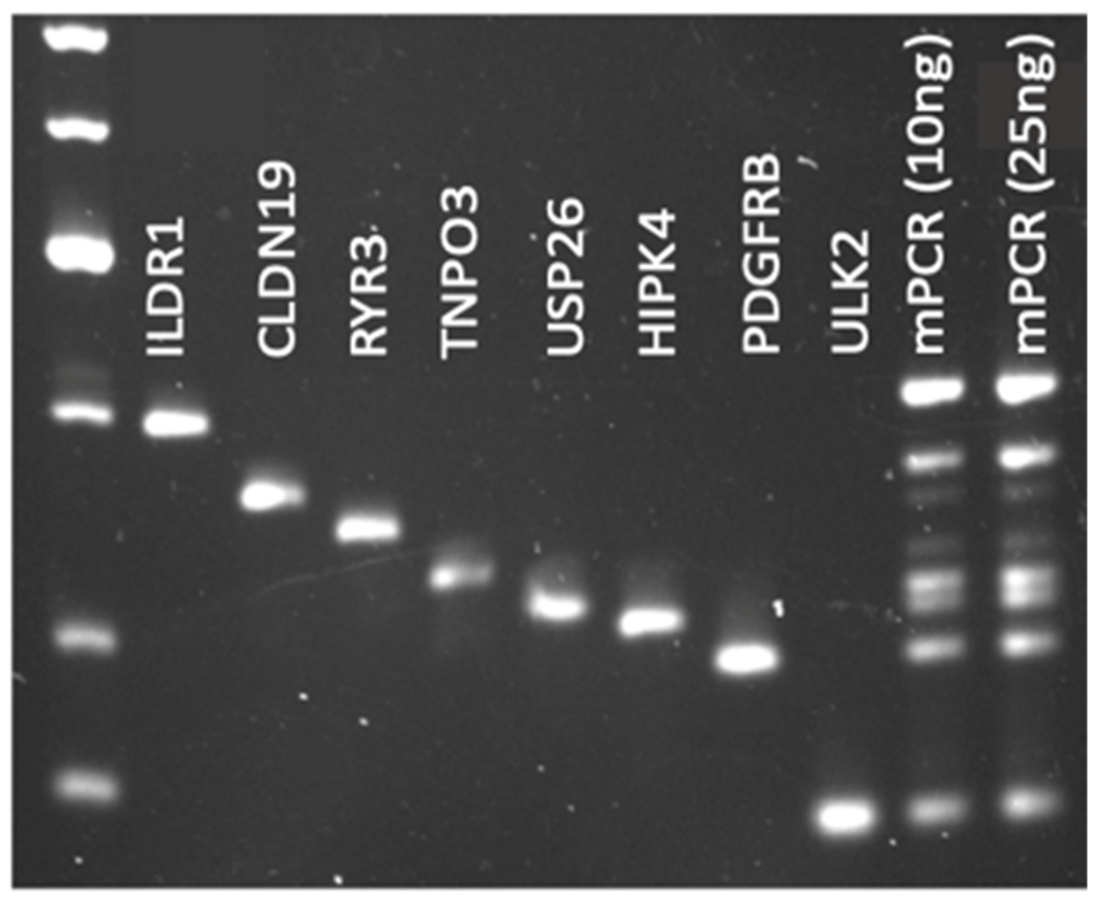 Jcm 13 06539 g004 Jcm 13 06539 g004