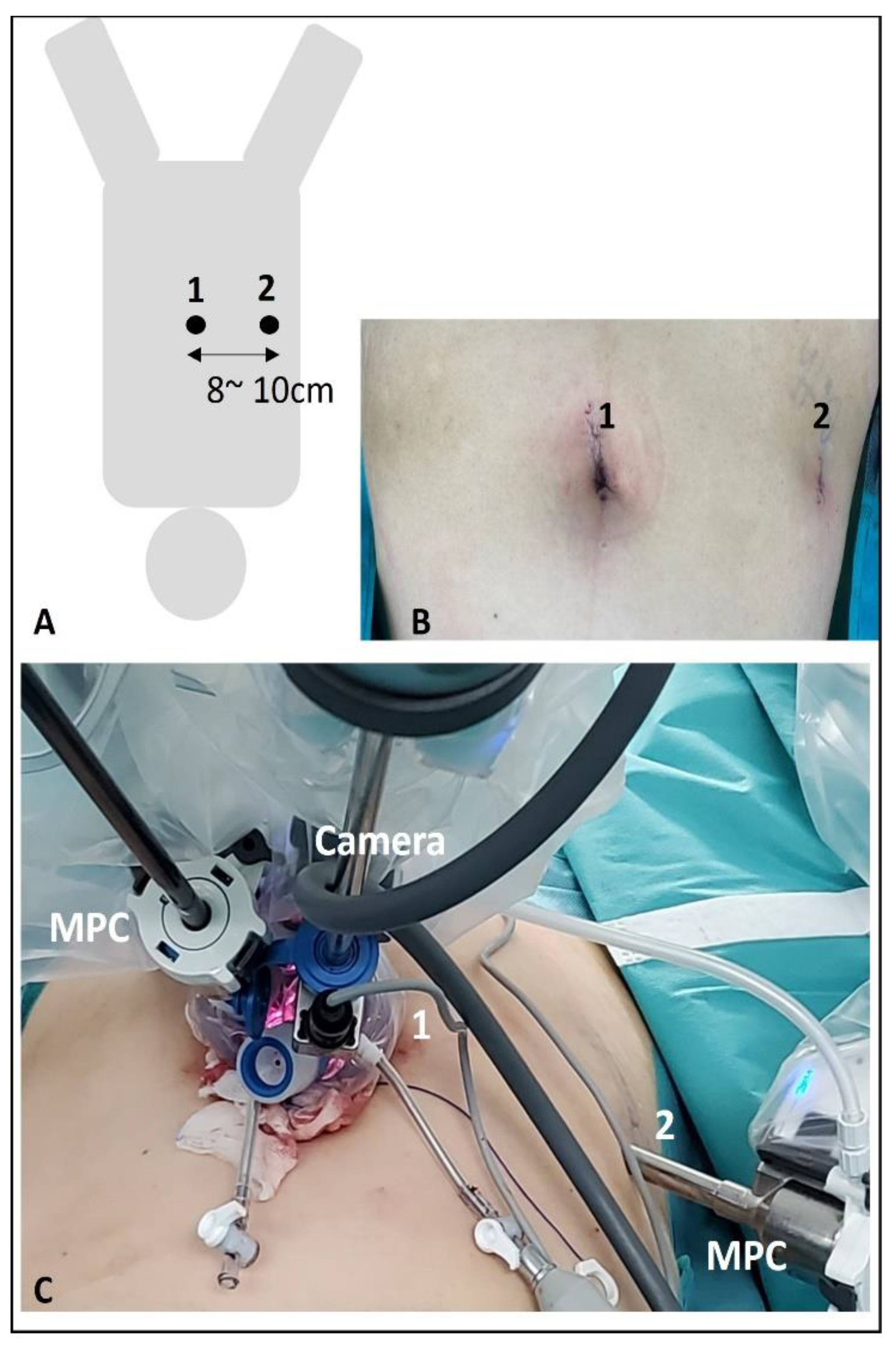 Jcm 13 06563 g001 Jcm 13 06563 g001
