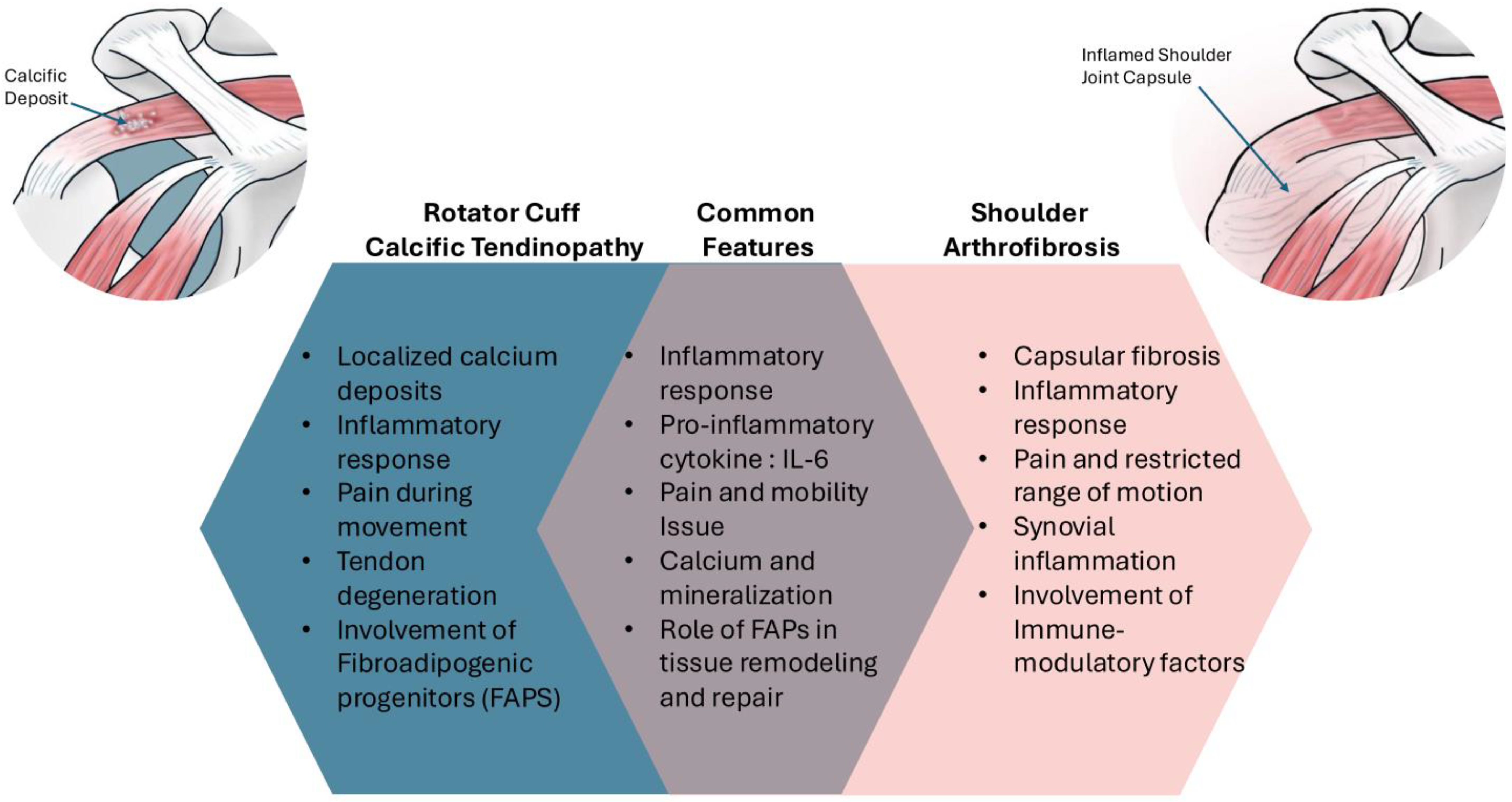 Jcm 13 06641 g002 Jcm 13 06641 g002